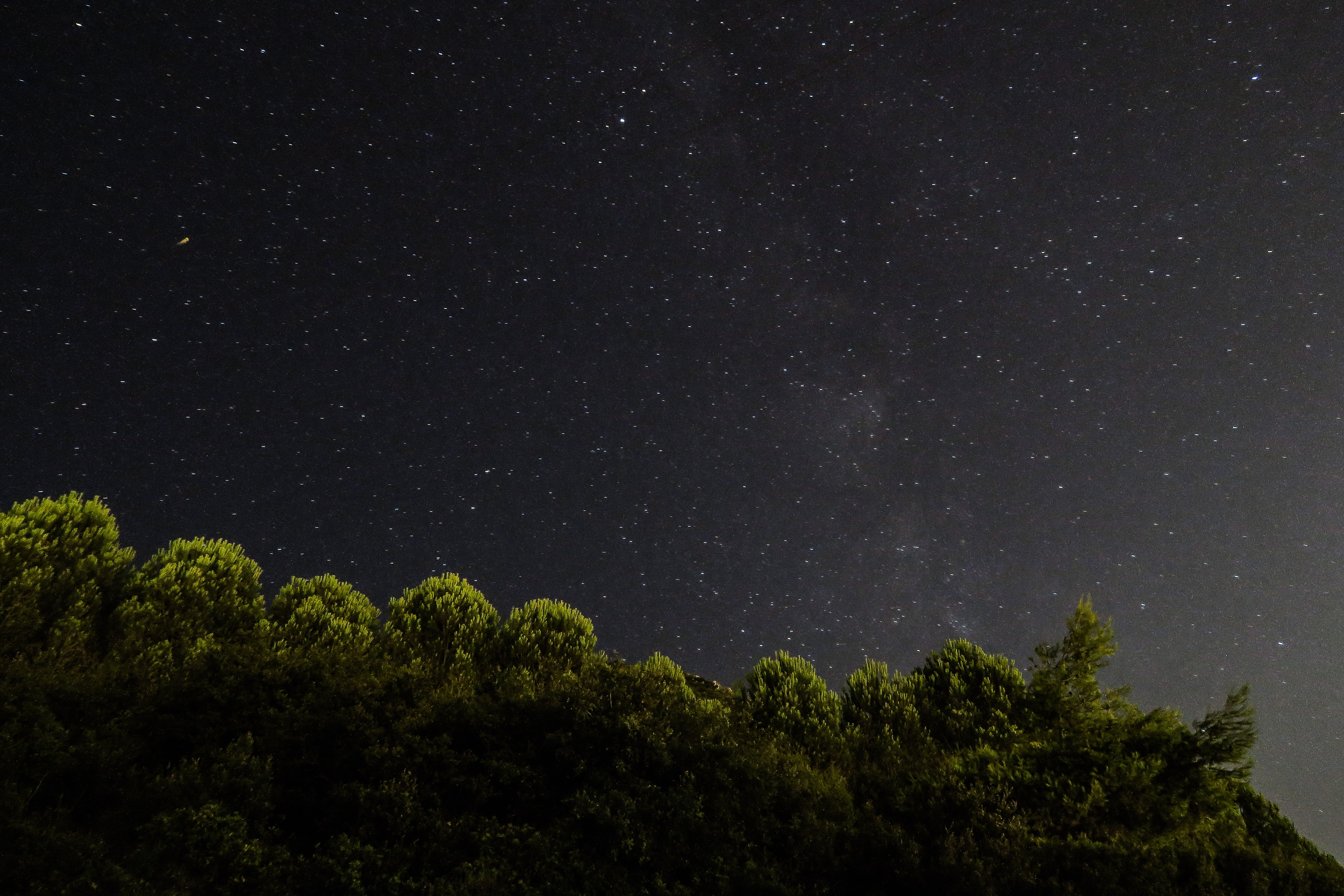 General 5472x3648 nature trees night stars Milky Way photography