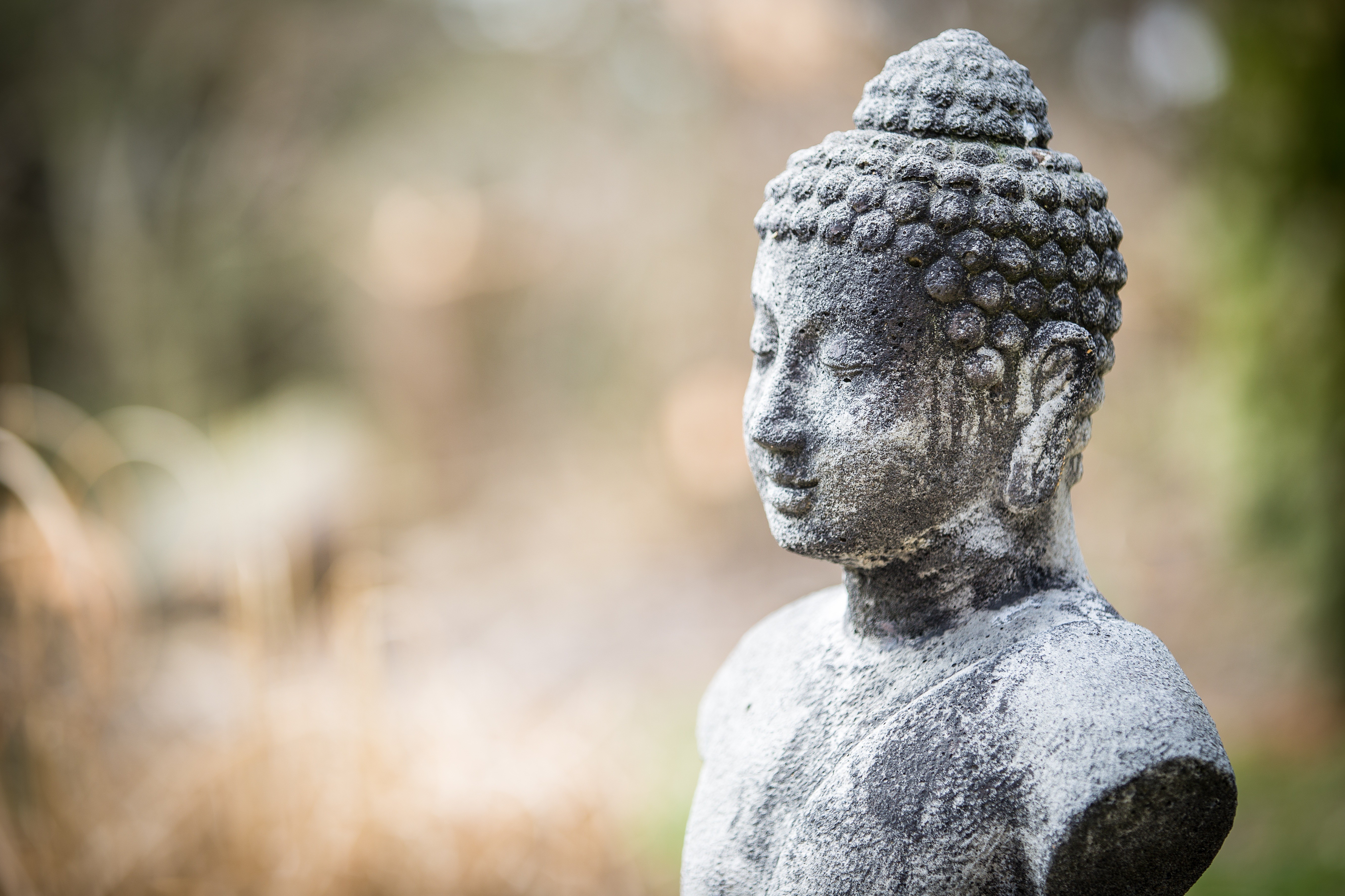 General 5324x3549 photography effects Buddha religion closeup statue