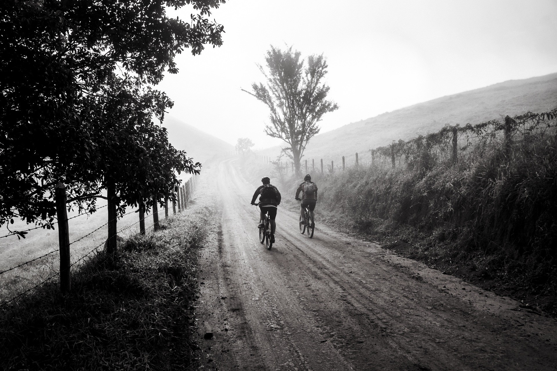 People 1920x1278 mist people road landscape bicycle outdoors vehicle dirt road trees