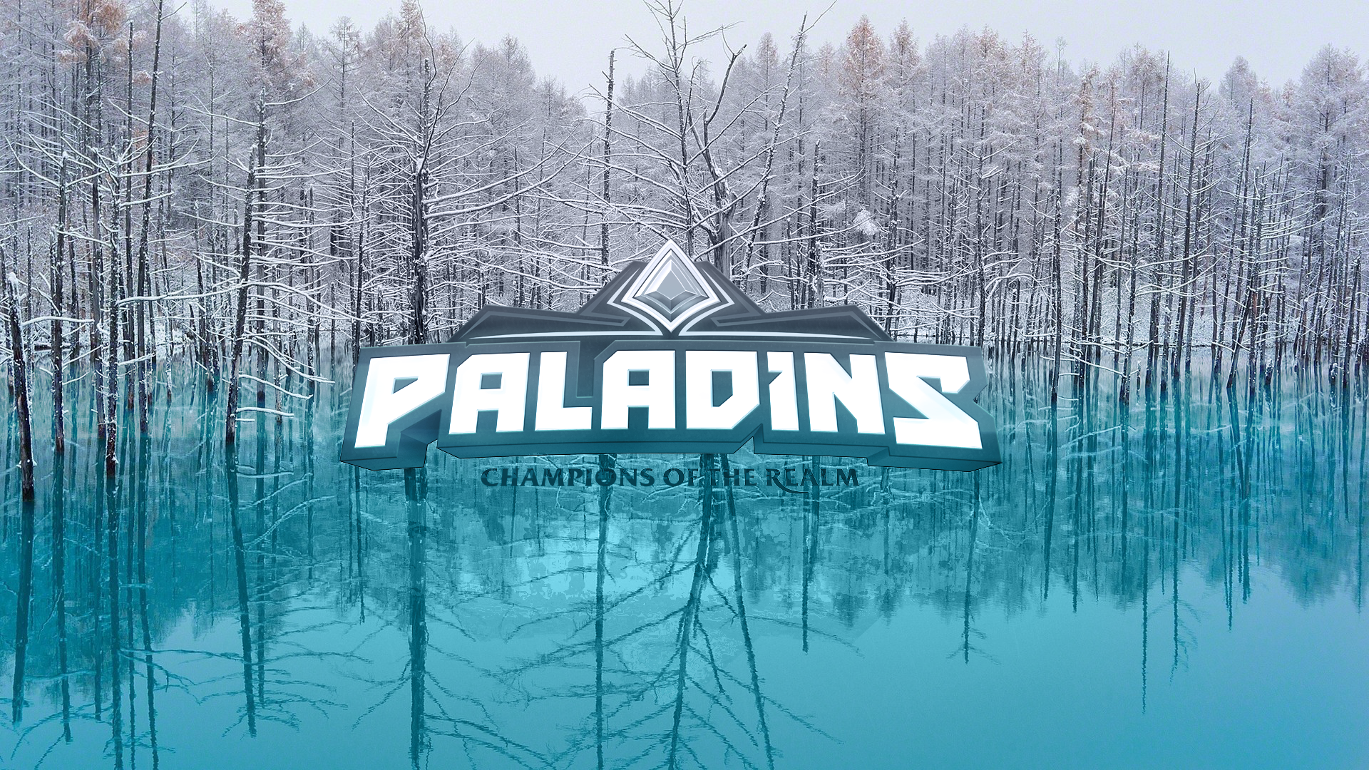 General 1920x1080 paladin spes salutis trees winter ice video games