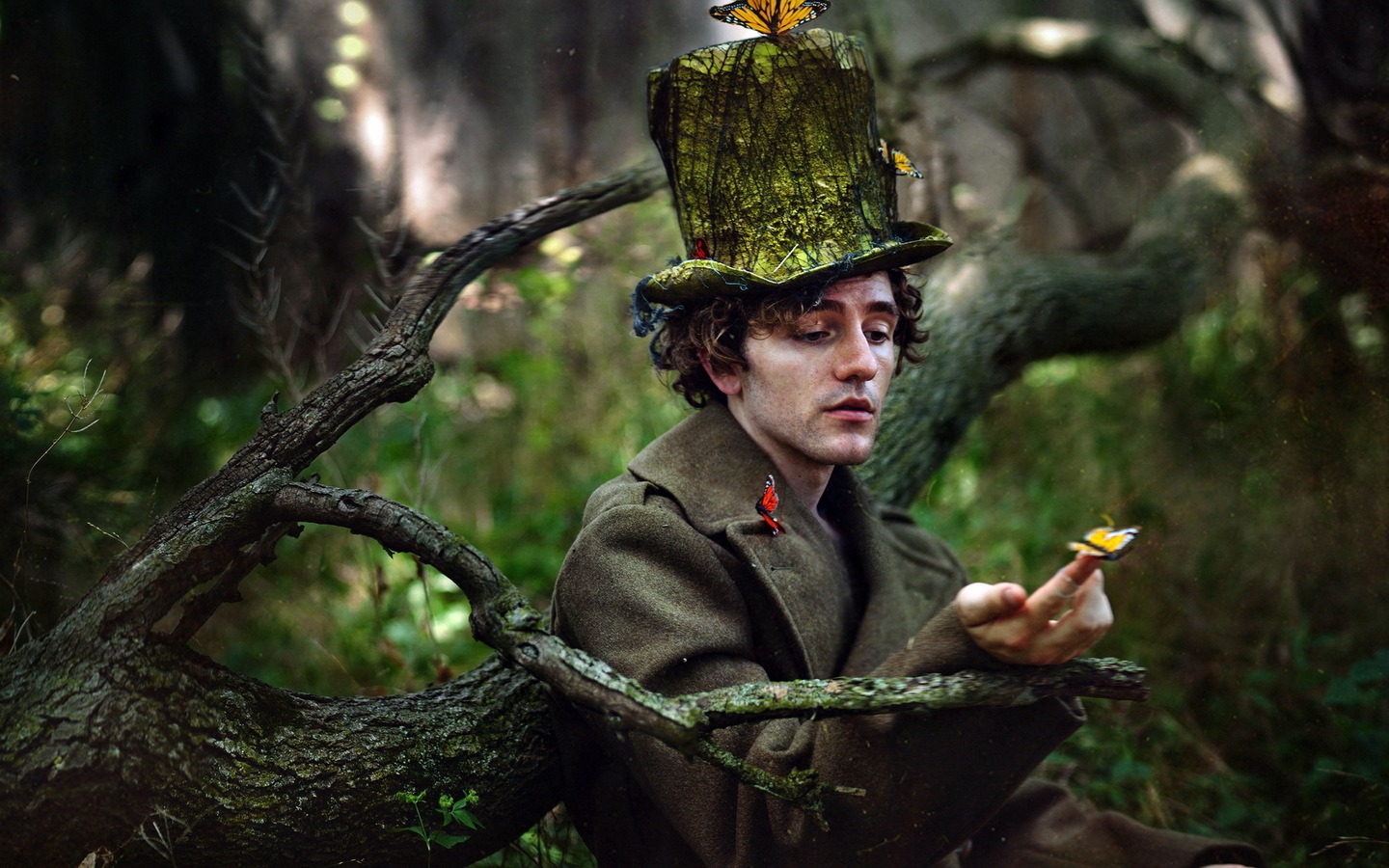 People 1440x900 trees Mad Hatter butterfly men
