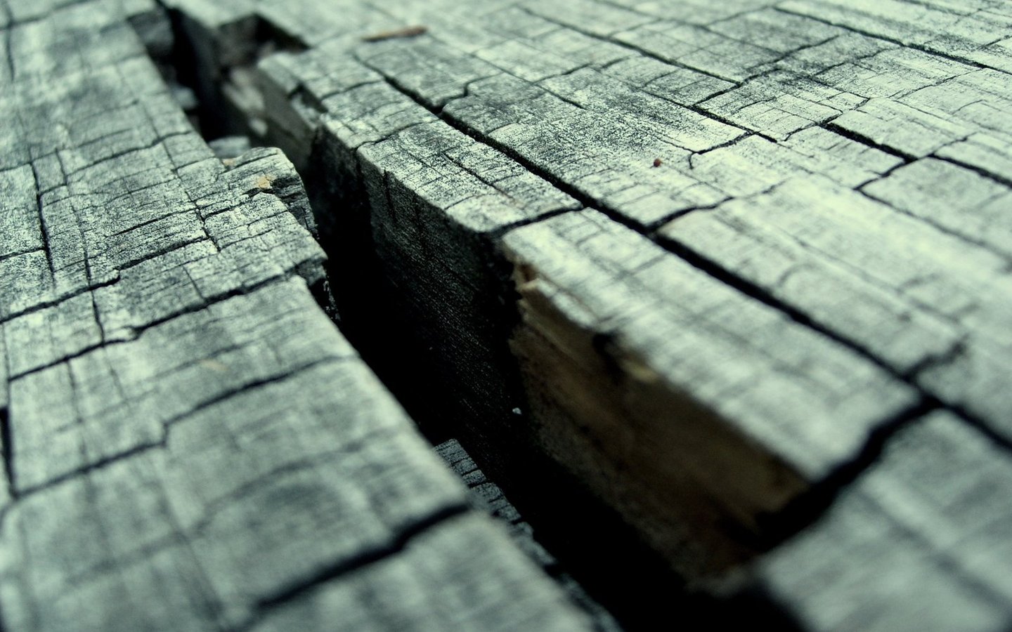 General 1440x900 wood cracked texture