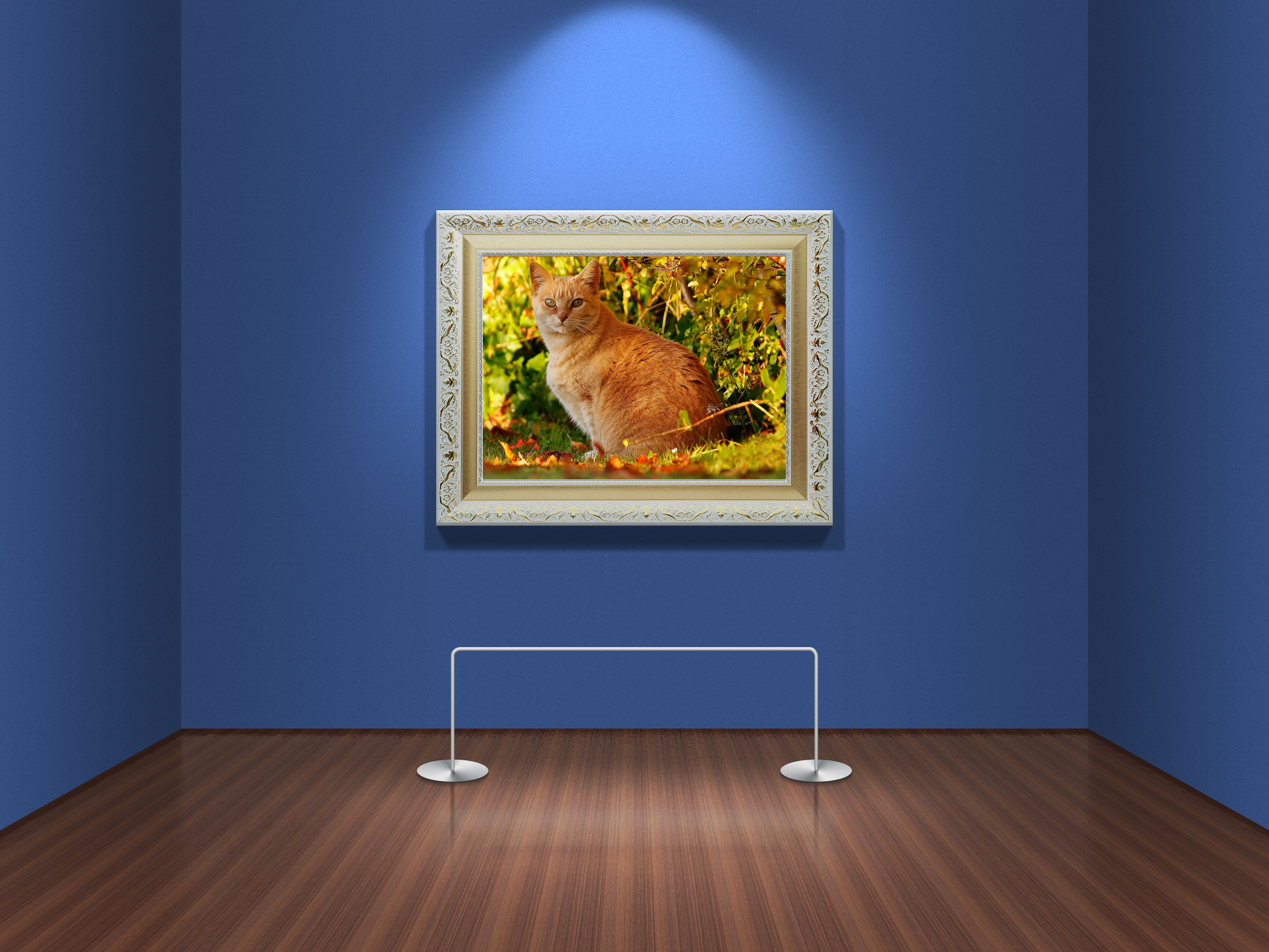 General 3840x2880 art gallery picture frames room cats picture