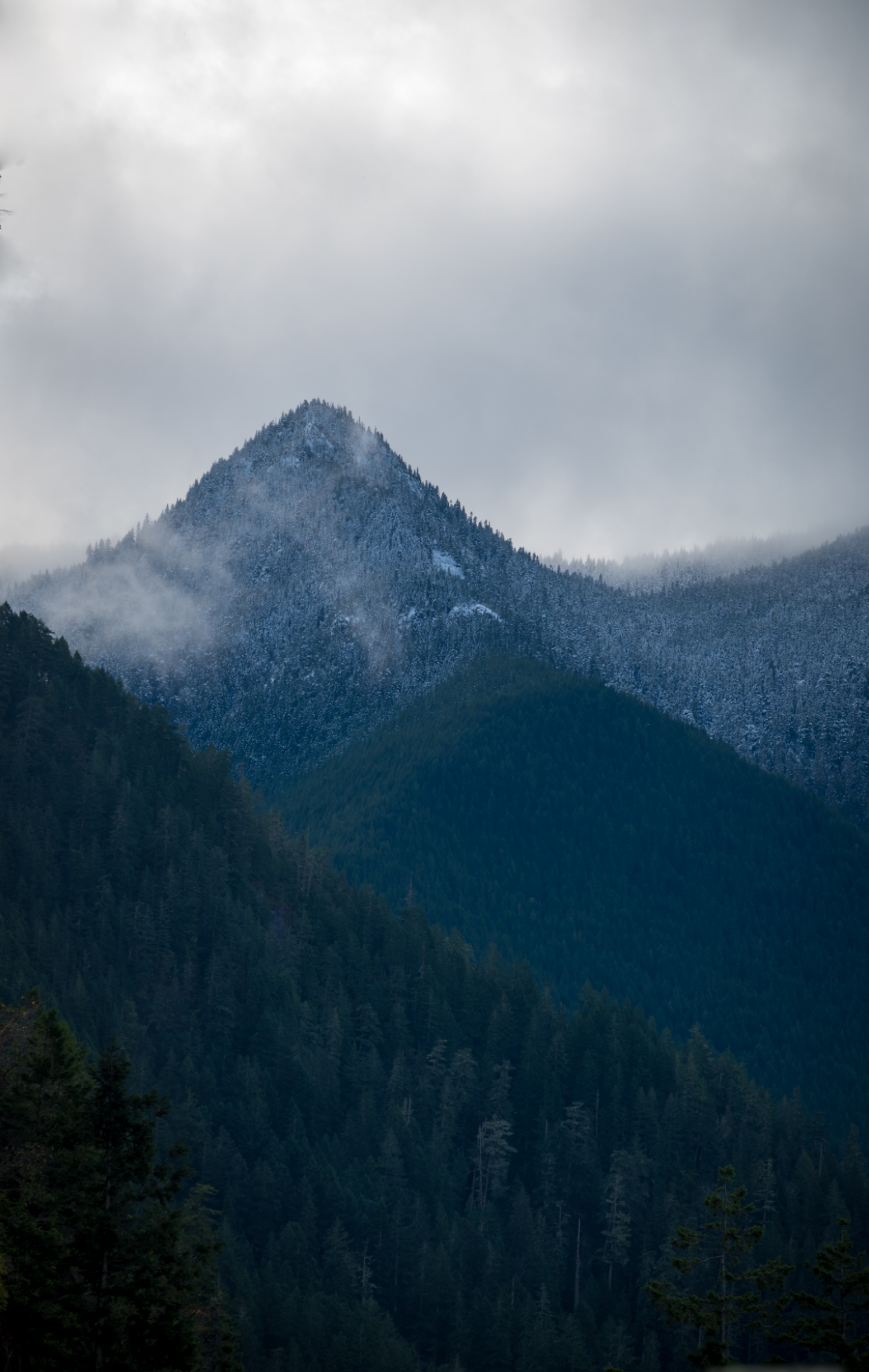 General 1553x2451 trees Olympic National Park national park forest nature mountains jungle mist landscape winter