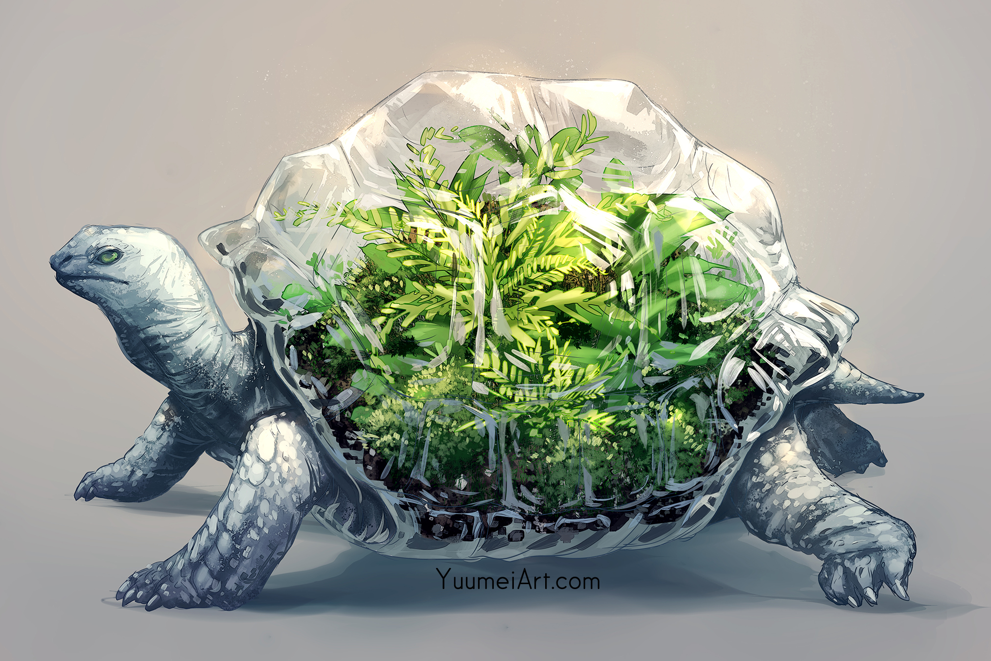 General 2025x1350 turtle animals nature digital art Yuumei tortoises
