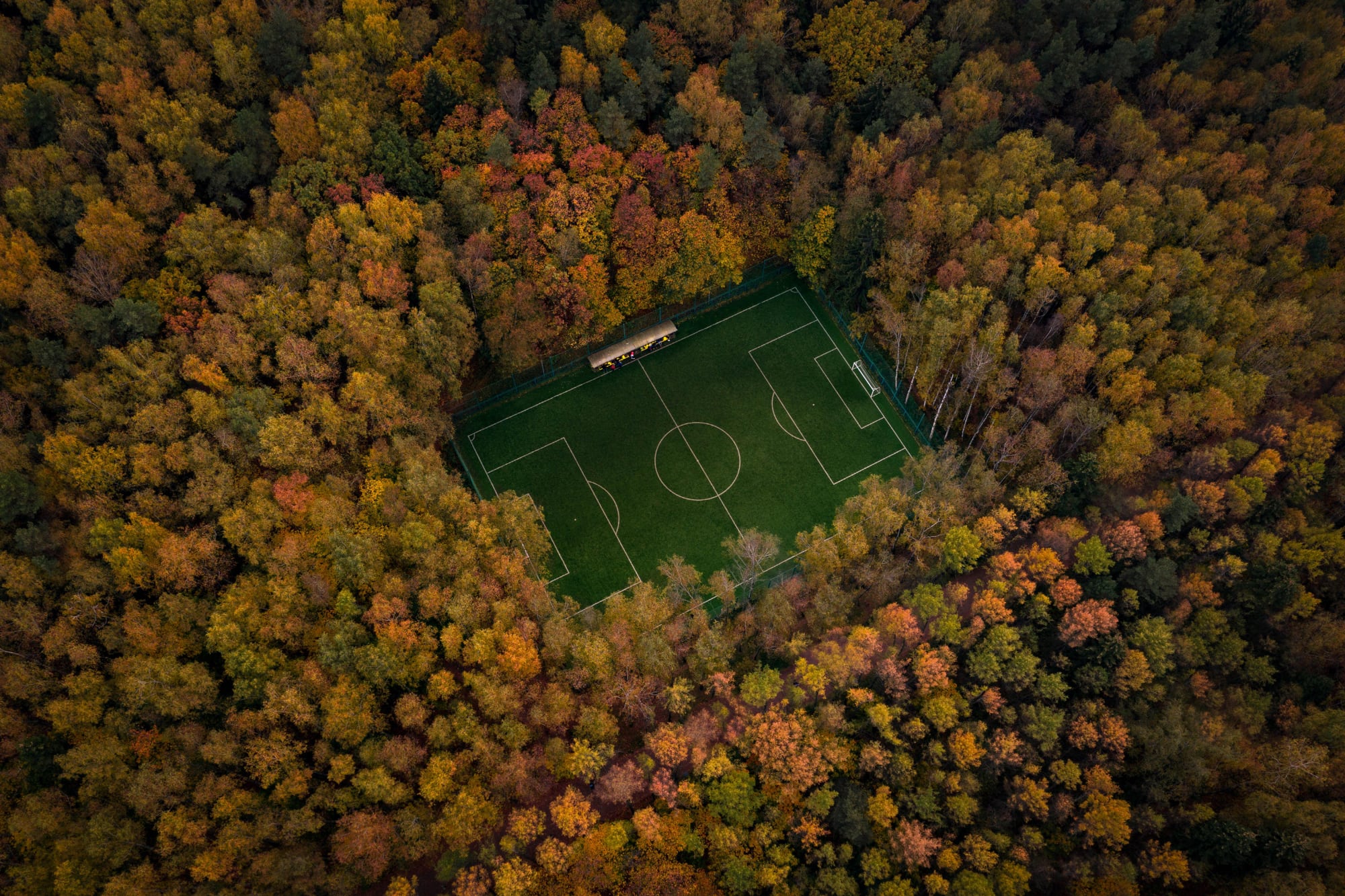 General 2000x1333 aerial view nature landscape soccer field soccer pitches fall trees forest soccer grass Russia Moscow drone photo