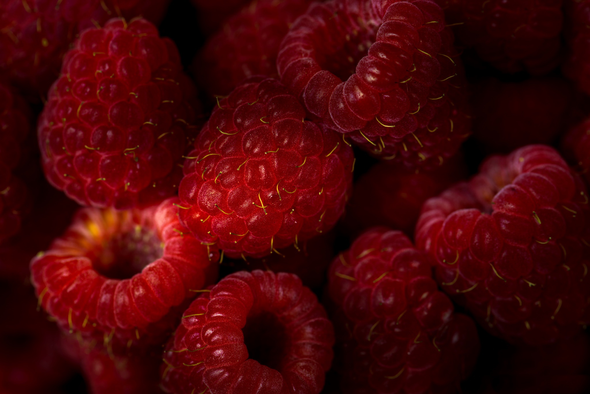 General 2048x1367 food fruit berries red raspberries