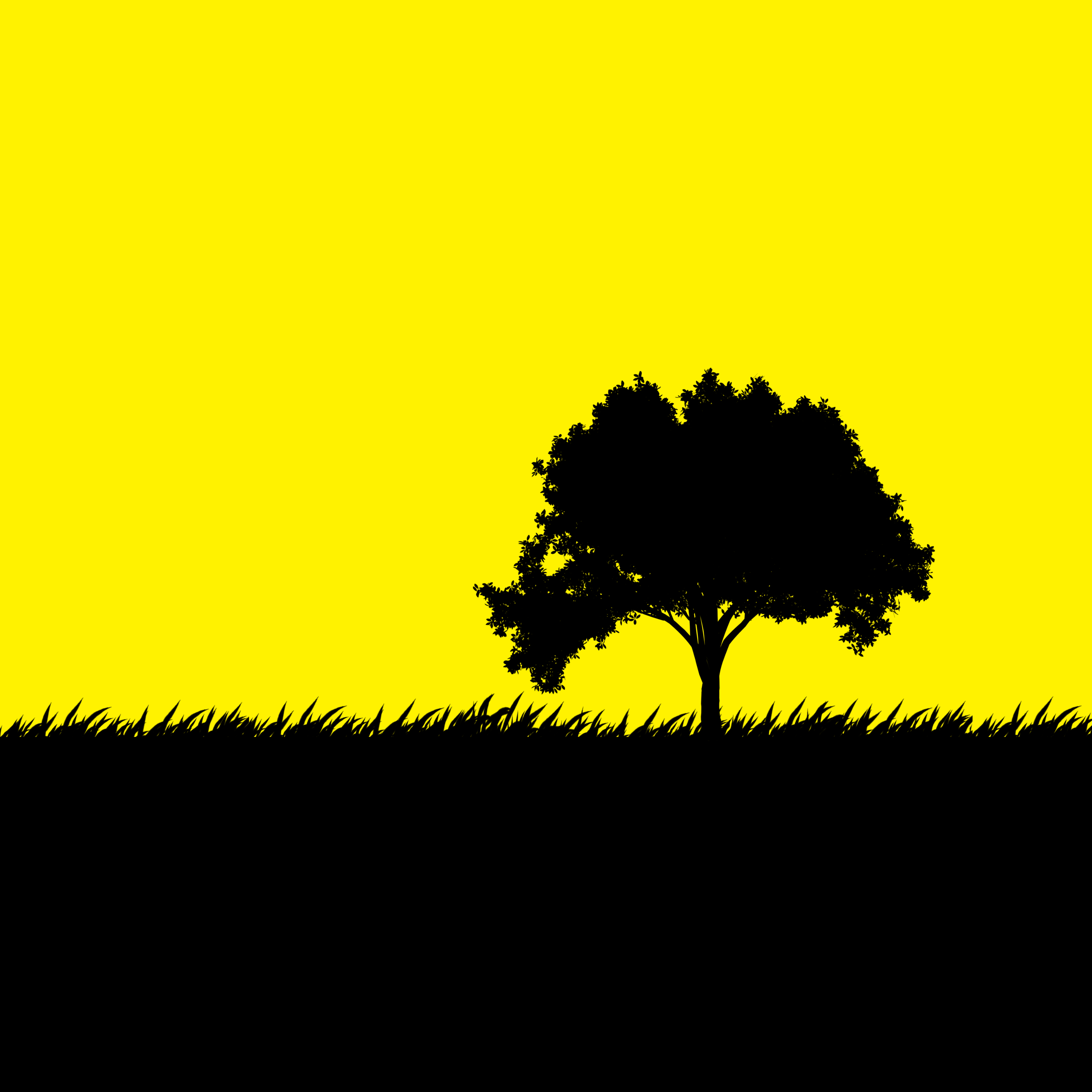 General 3543x3543 minimalism tree bark trees simple background yellow black yellow background artwork