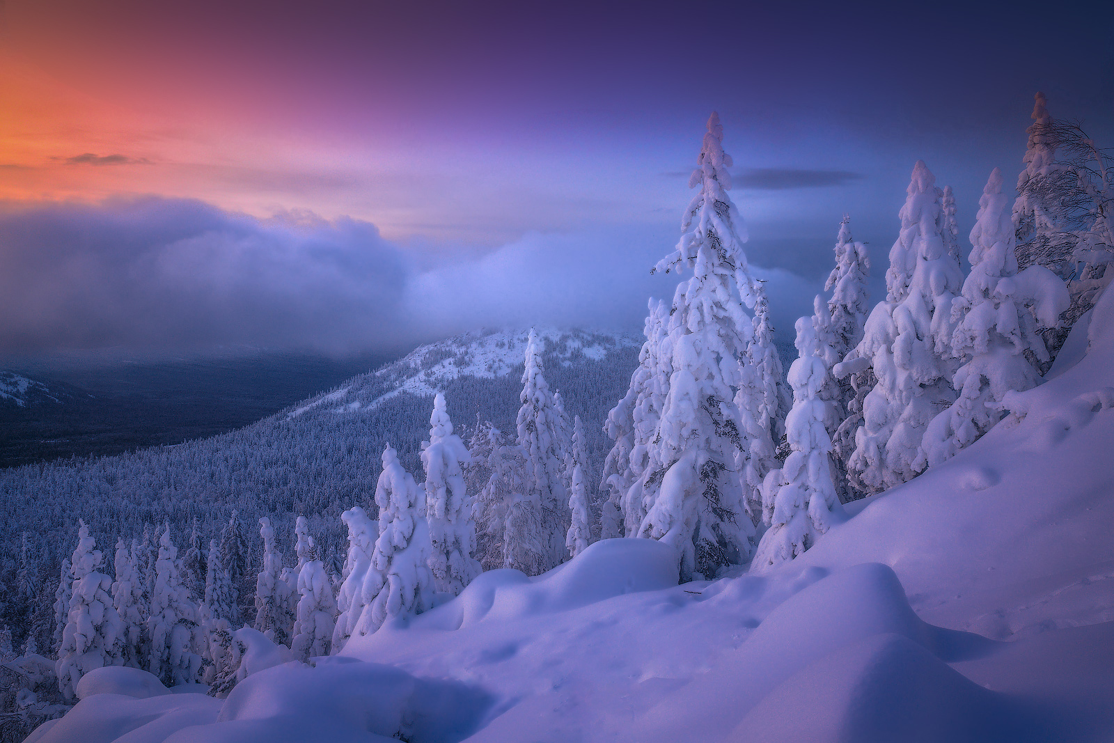 General 1600x1067 Vladimir Lyapin landscape sky colorful mist snow trees forest nature winter
