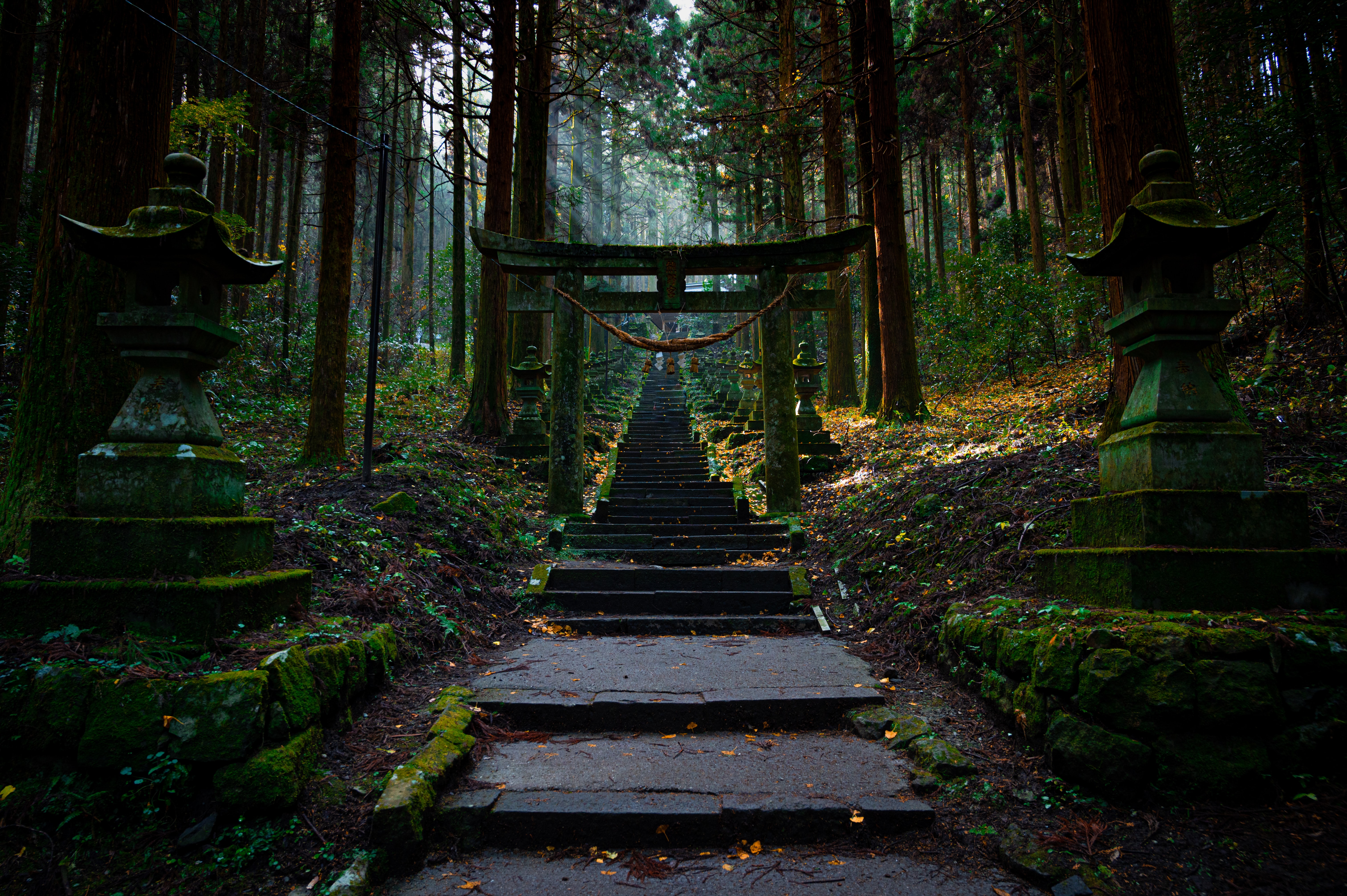 General 6048x4024 nature torii Japan Shinto rock stairs forest