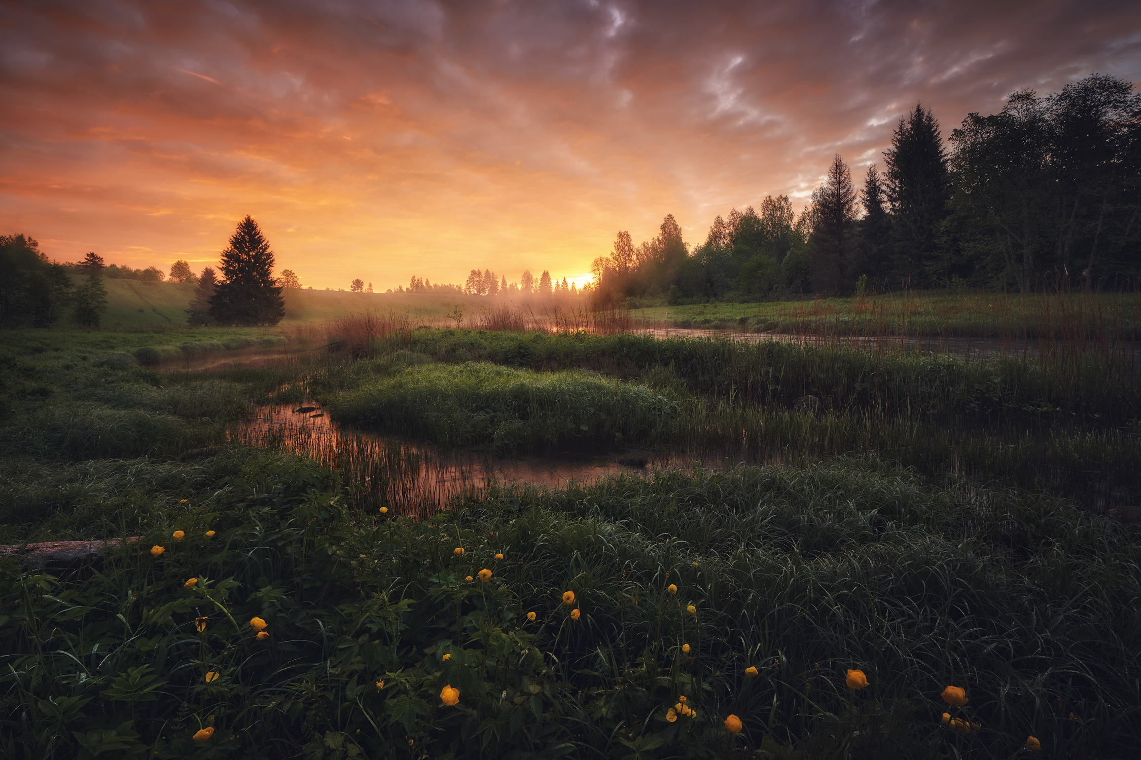 General 2250x1500 Anton Kononov field landscape sunset clouds flowers water trees outdoors photography nature low light