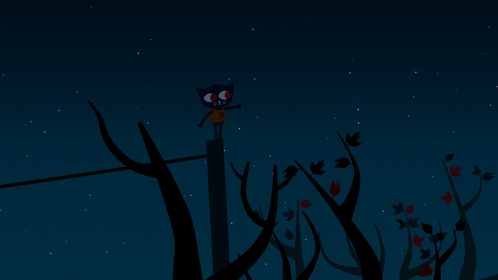General 1920x1080 night in the woods night nature branch leaves stars cats