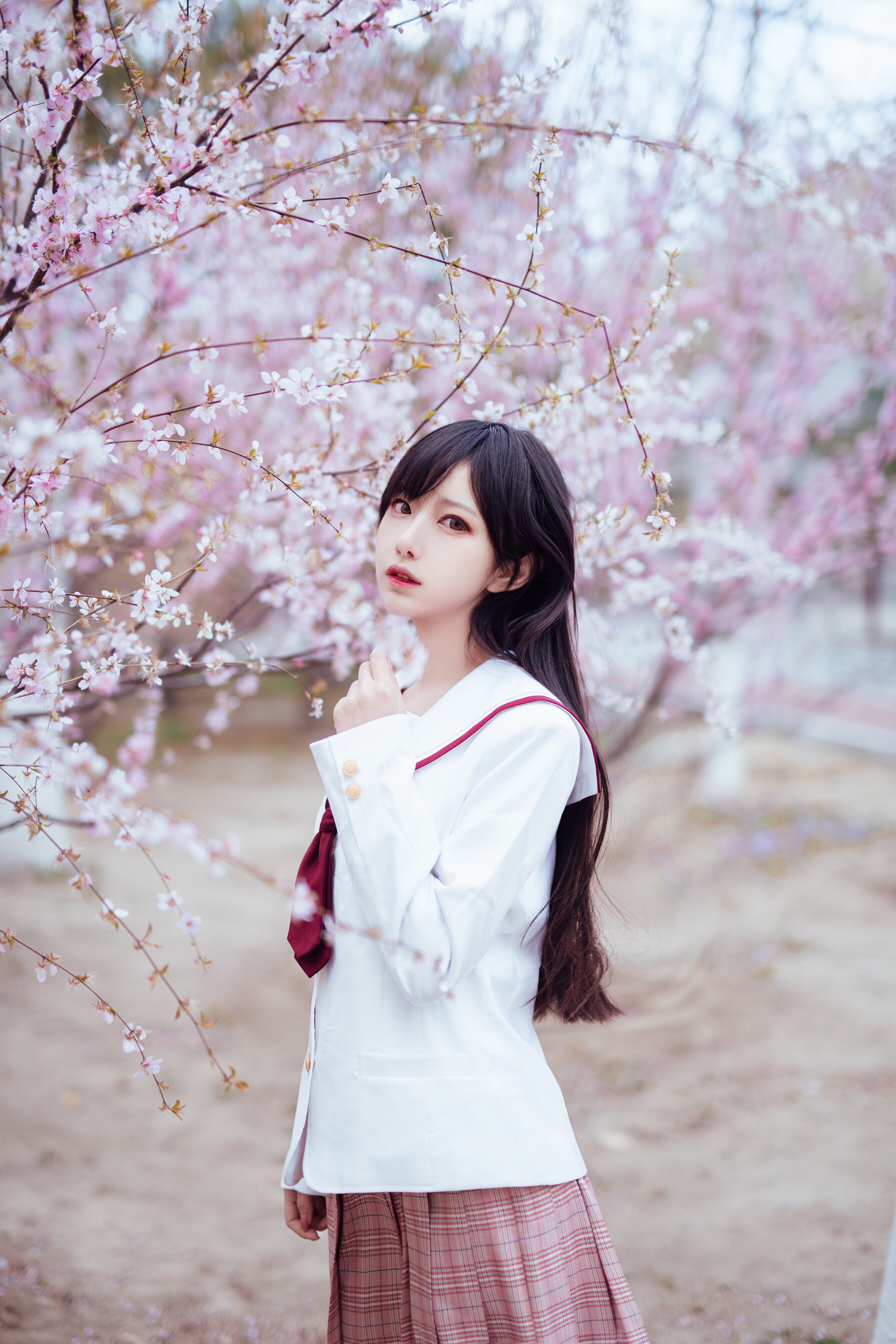 People 2688x4032 cherry blossom Asian women model women outdoors looking at viewer dark hair long hair plants Shika XiaoLu