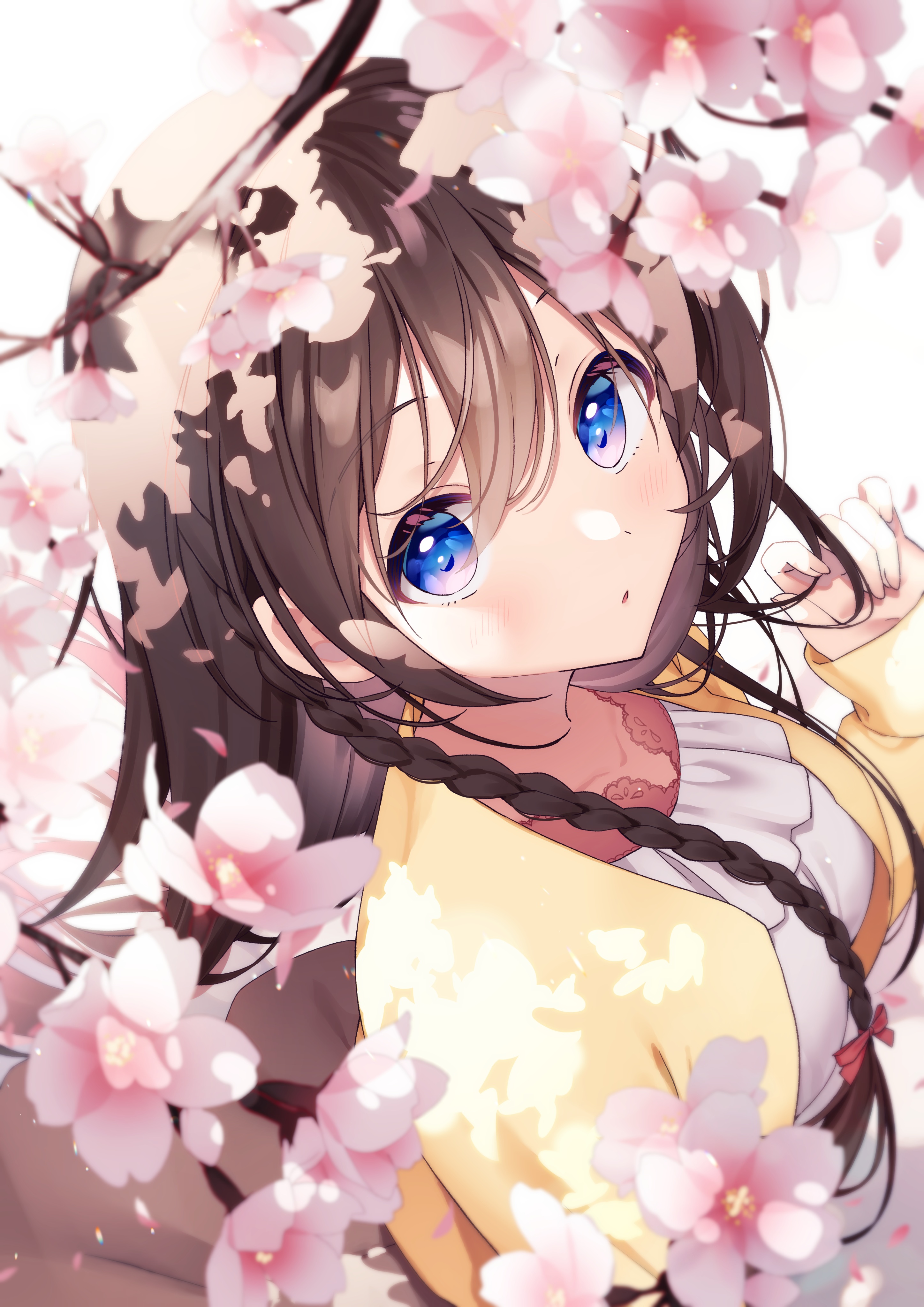 Anime 2894x4093 anime anime girls blue eyes brunette braids flowers high angle