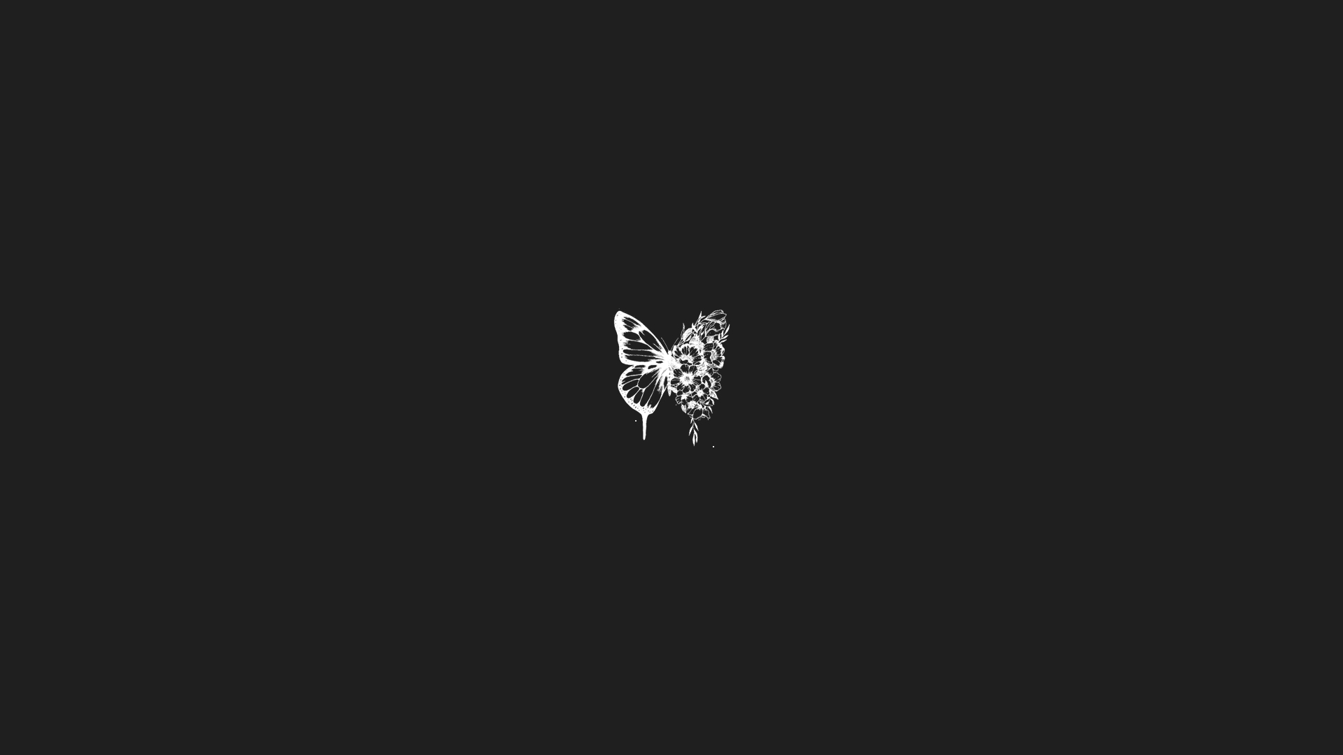 General 1920x1080 minimalism butterfly monochrome flowers plants black background digital art drawing dark leaves wings butterfly wings nature simple background insect