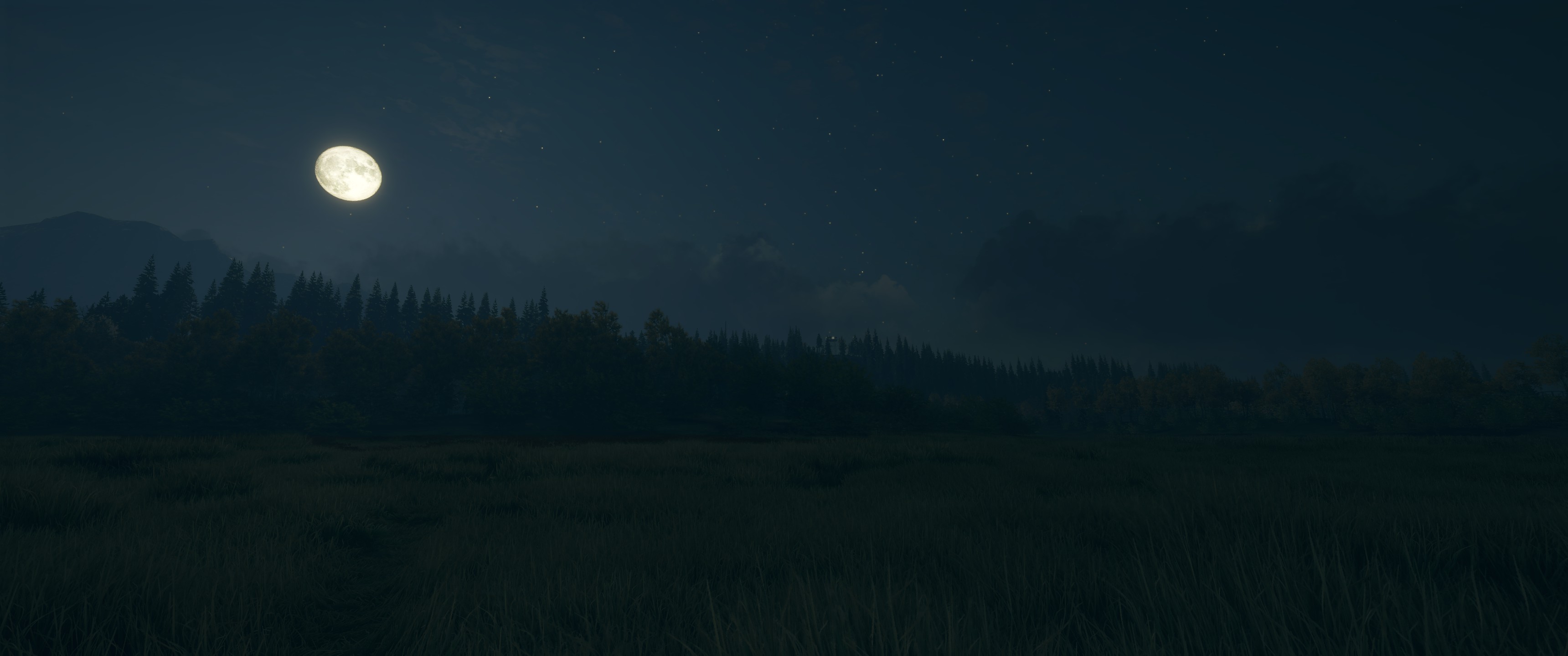 General 3440x1440 landscape ultrawide dark simple background trees minimalism night Moon sky grass