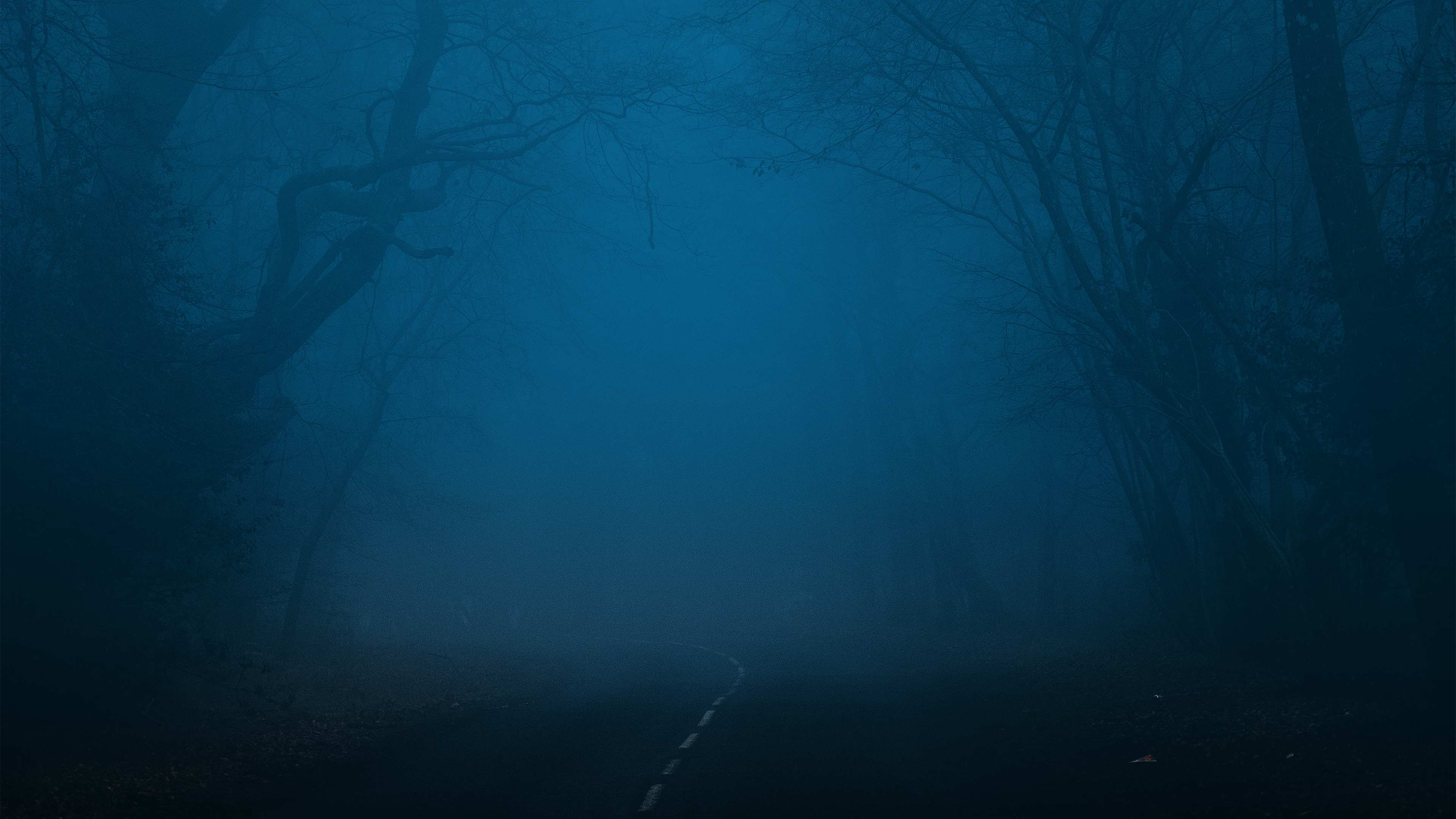 General 3840x2160 forest landscape night midnight nature 4K horror road minimalism simple background