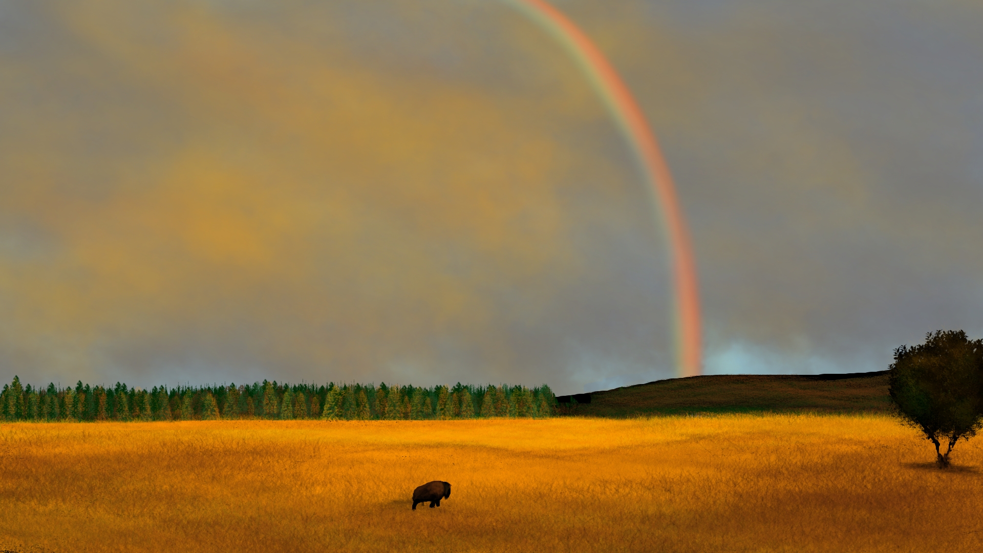 General 1920x1080 digital painting digital art nature landscape buffalo rainbows trees animals field