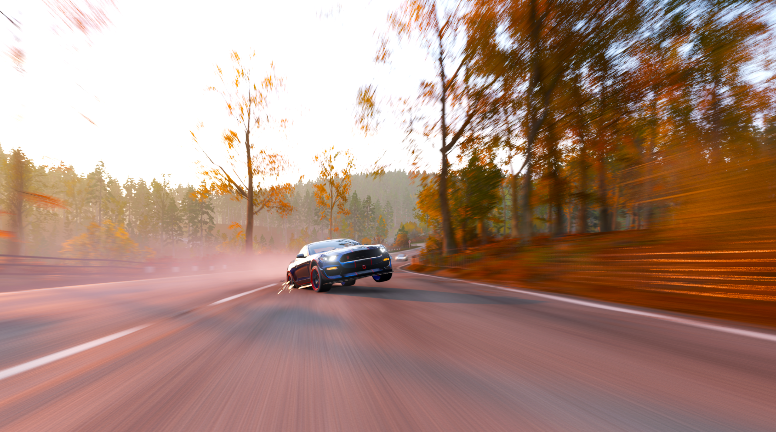 General 2560x1427 Autumn Boar spark speed-limit car high view LED headlight sinking red trees highway Fly frontal view headlights road motion blur Ford Ford Mustang Ford Mustang Shelby Shelby muscle cars American cars Forza Horizon 4 video games PlaygroundGames