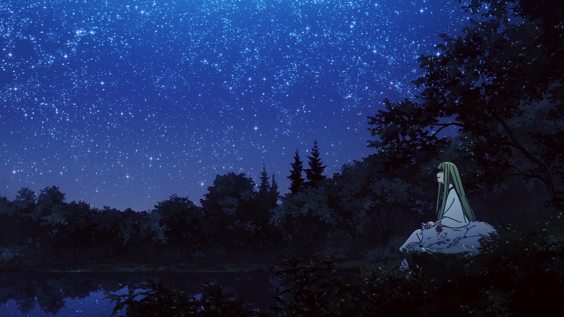 Anime 1920x1080 Fate series Fate strange Fake Enkidu (FGO) Anime screenshot sky stars reflection water long hair anime gender-fluid night