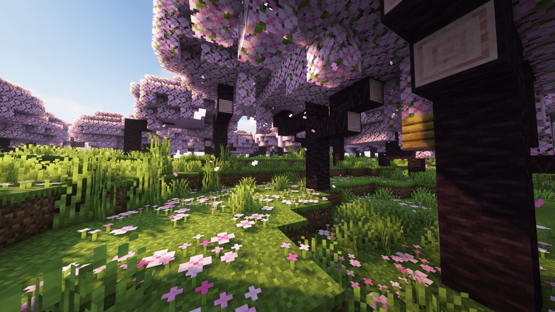 General 1920x1080 Minecraft cherry blossom video games cube flowers trees CGI