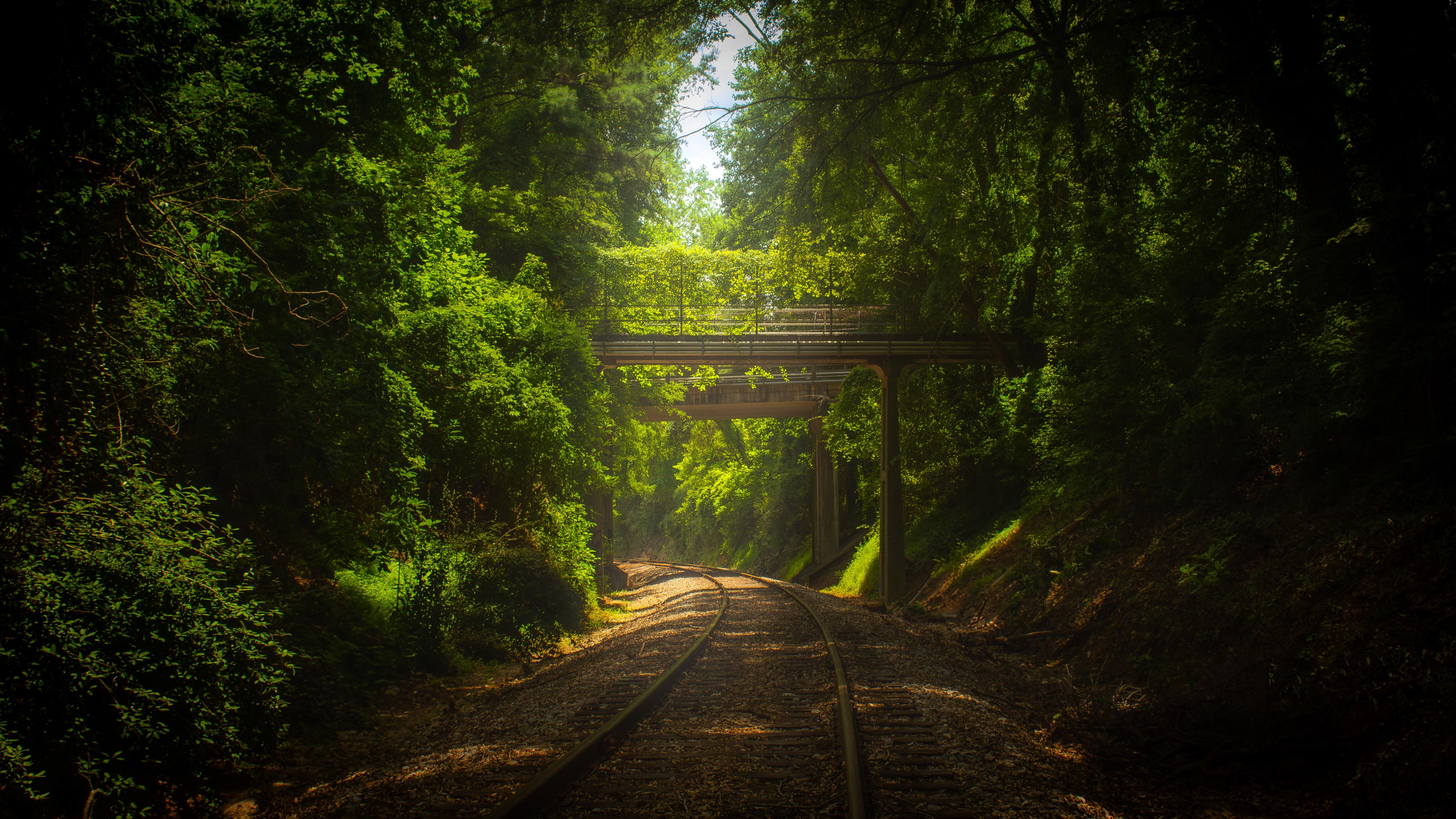 General 3840x2160 nature trees plants bridge rail ruins abandoned sunlight fallen leaves North Carolina USA