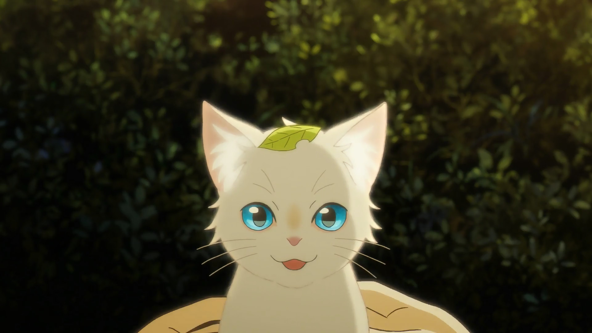 Anime 1920x1080 A Whisker Away Miyo Sasaki animals looking at viewer nature anime screenshot cats