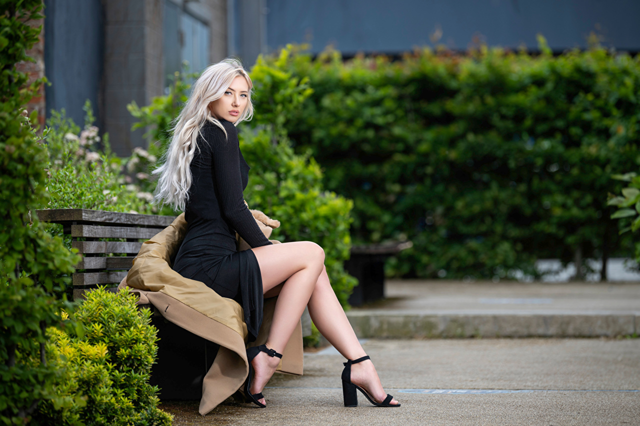 People 1280x853 women model high heels looking at viewer black dress white hair sitting thighs legs blonde women outdoors