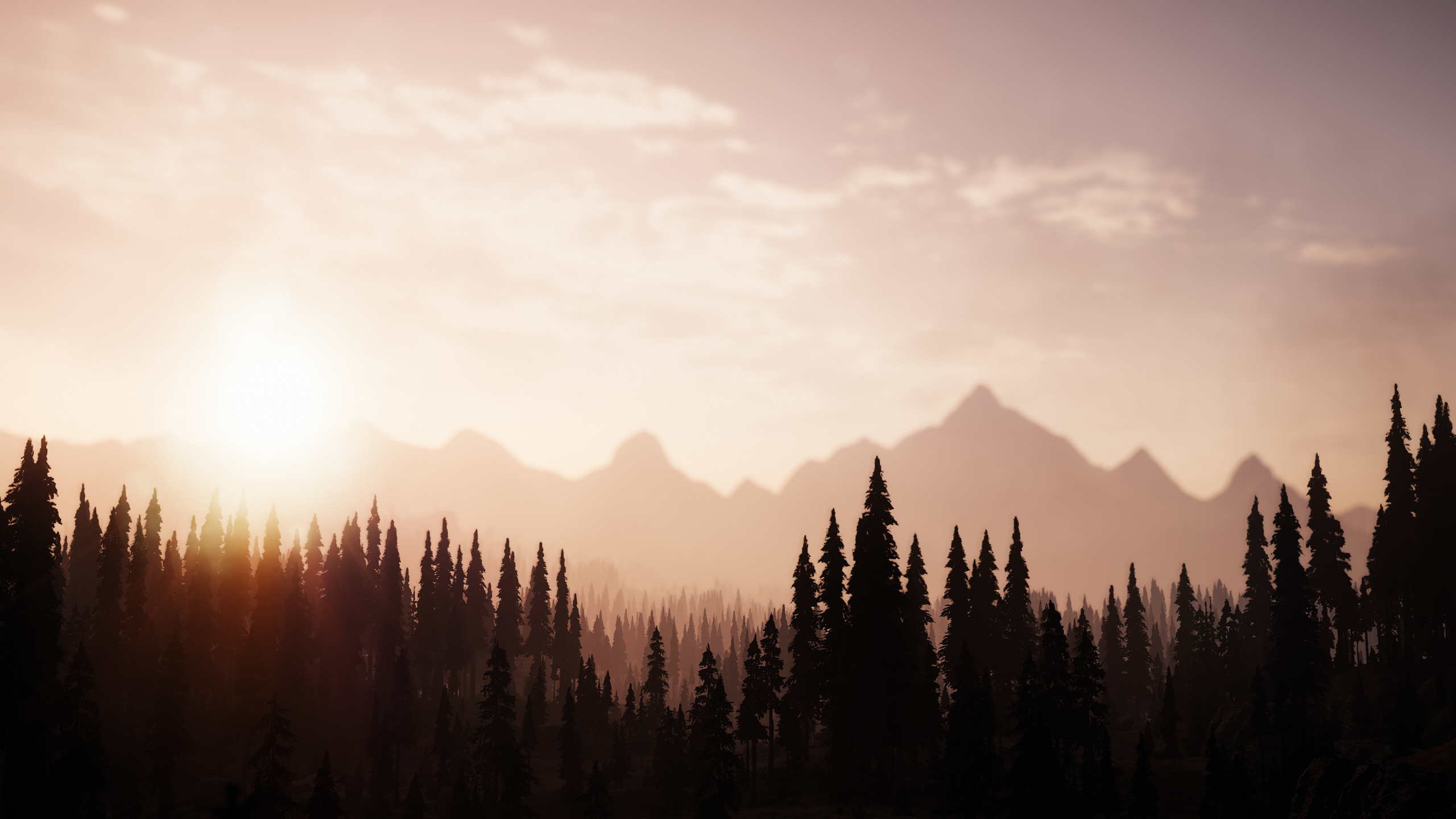 General 2560x1440 Far Cry 5 Game CG screen shot sunset glow