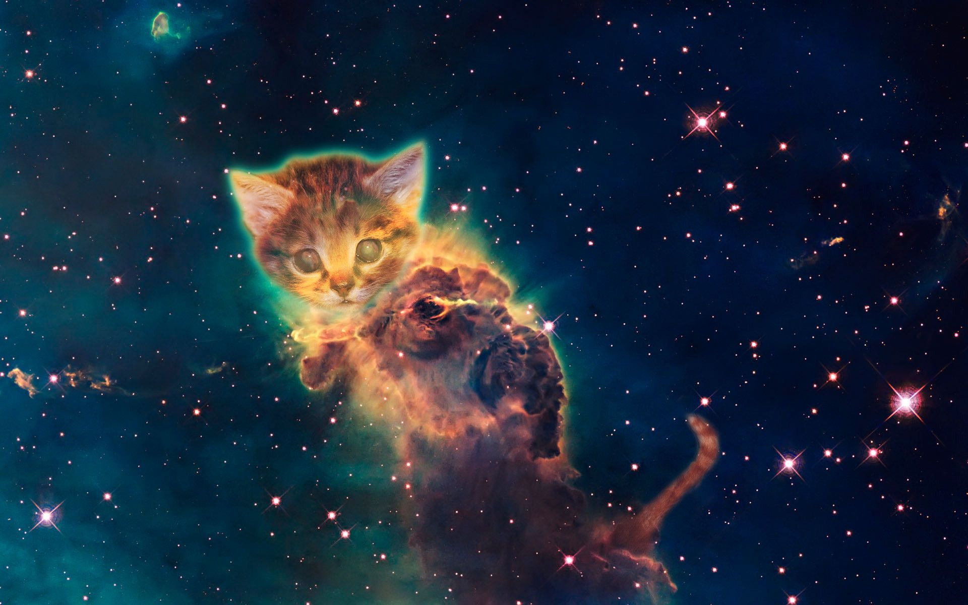 General 1920x1200 colorful kittens space universe stars galactica nebula lens flare digital art animals