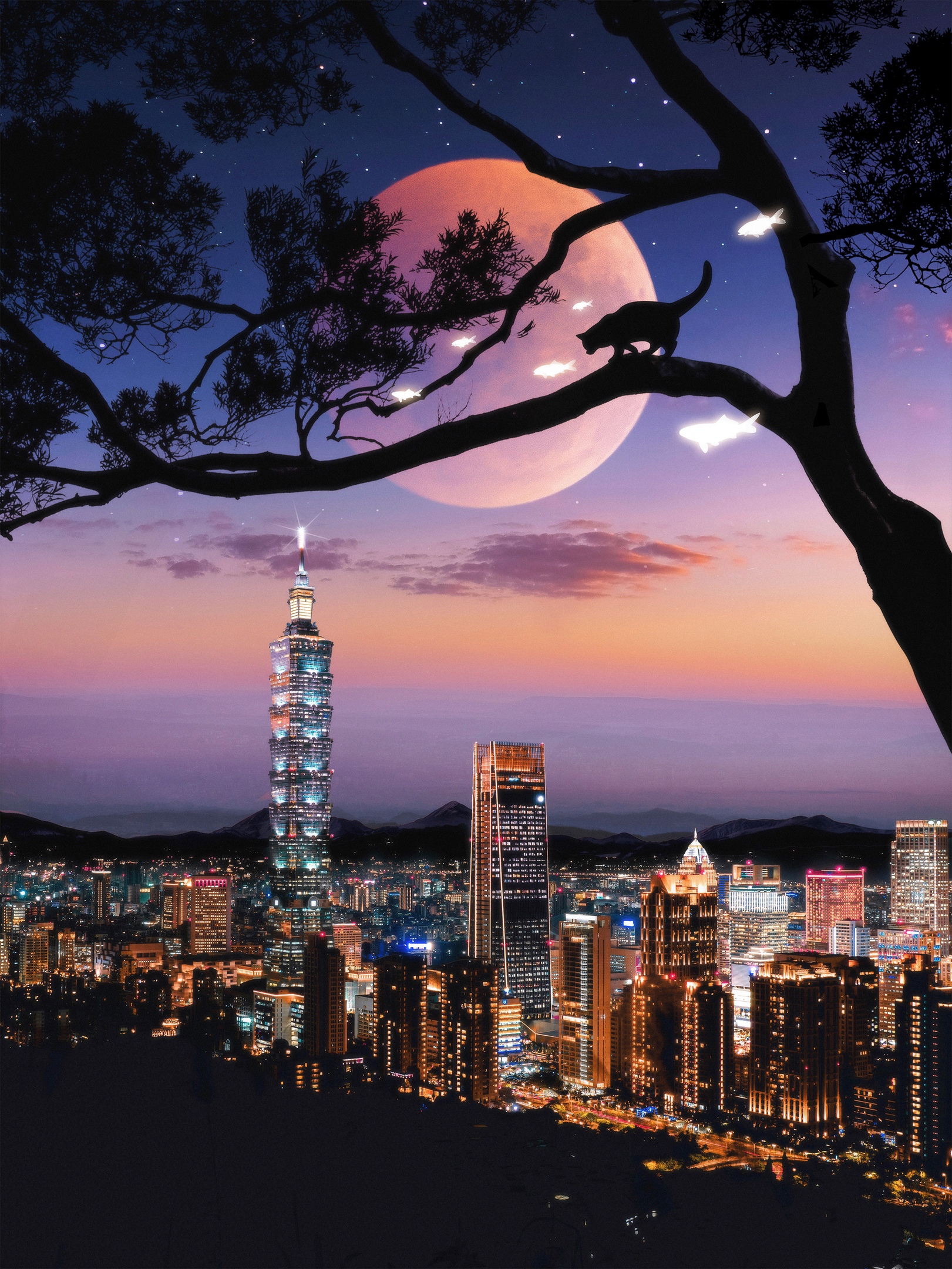 General 1621x2160 city lights Taipei Asia cityscape