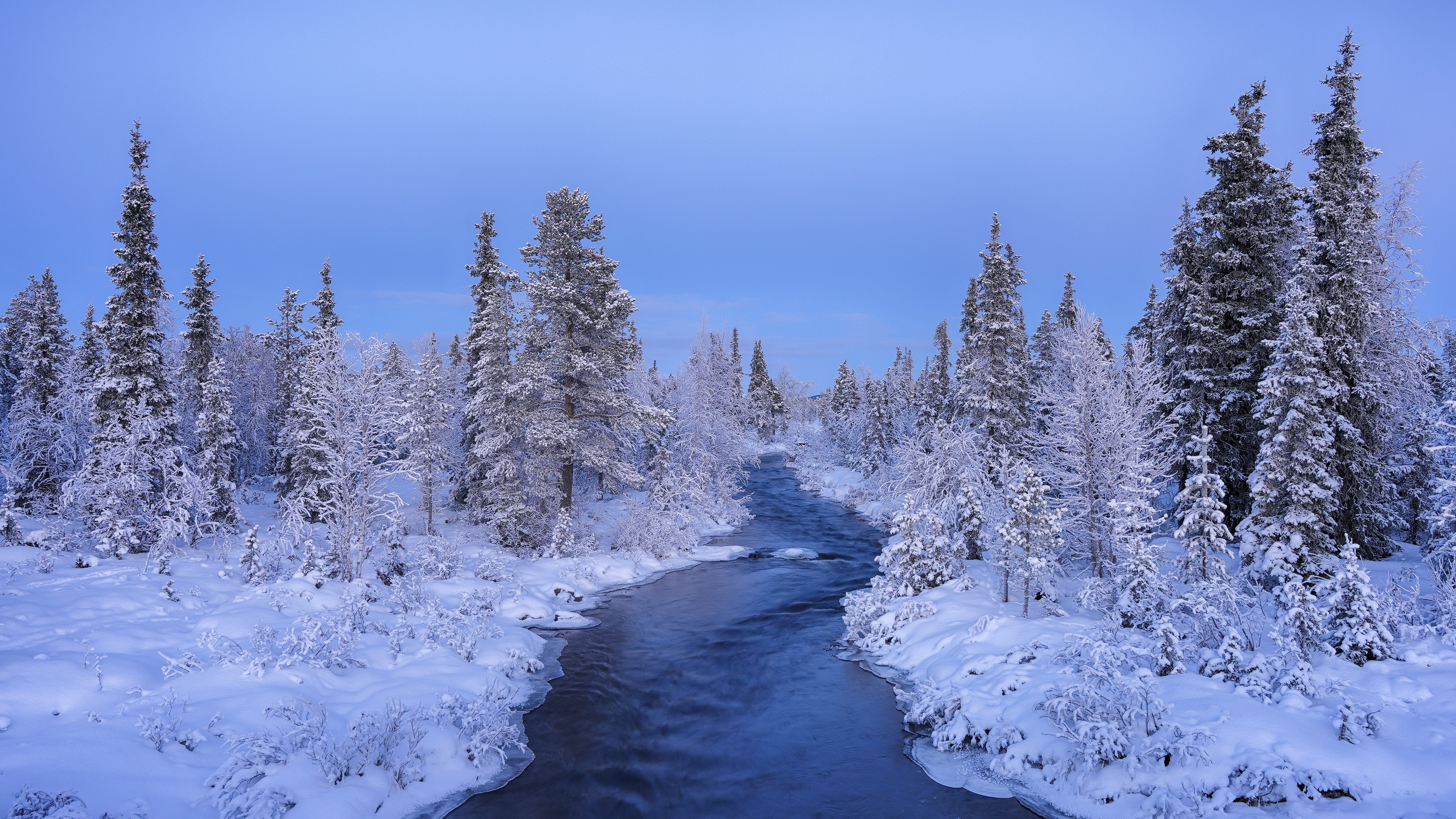 General 3840x2160 nature creeks winter cold outdoors trees water snow