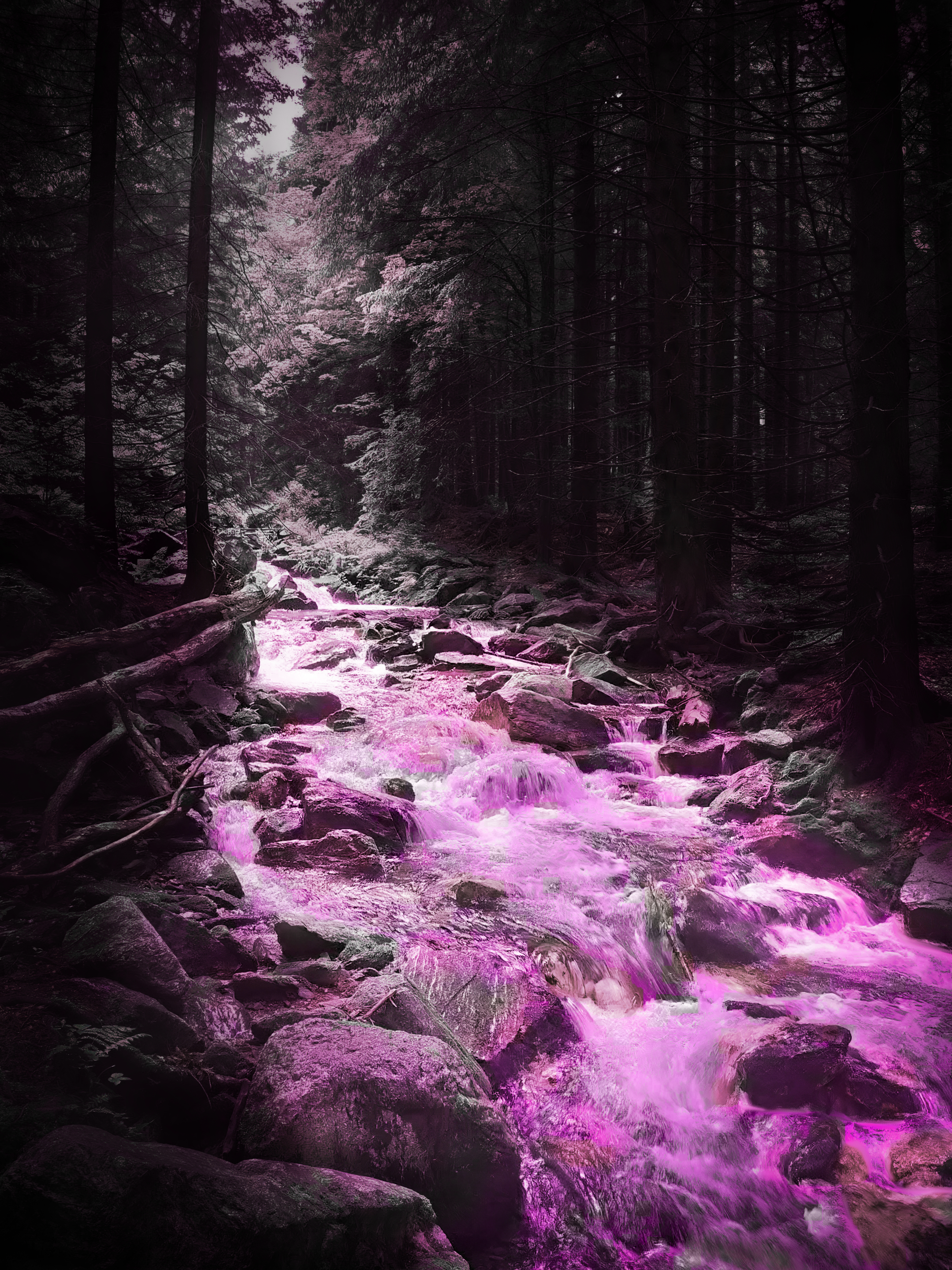 General 2160x2880 forest river water trees pink photoshopped portrait display color correction