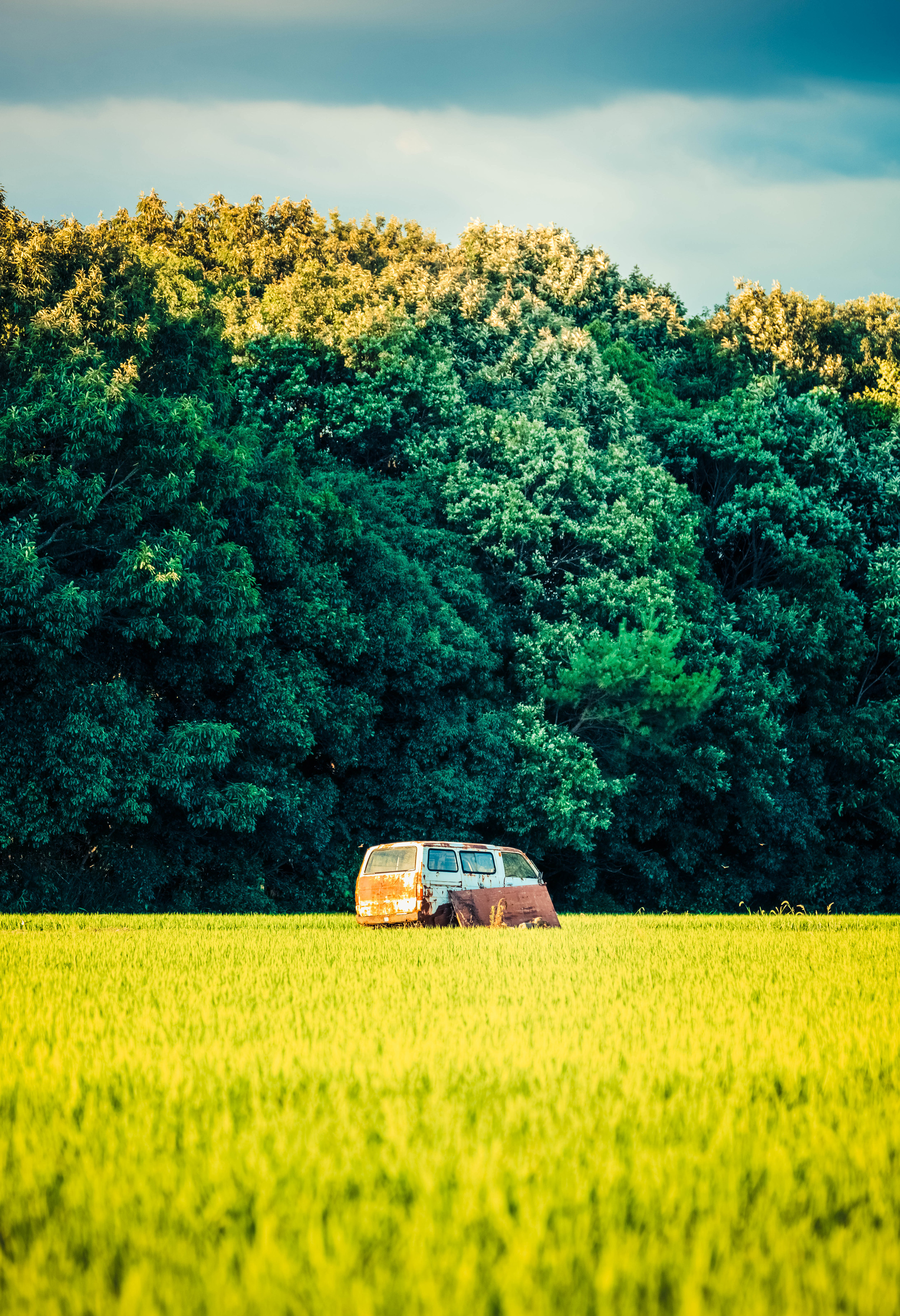 General 2507x3667 car forest grass old car
