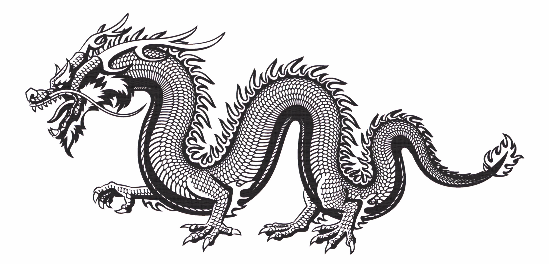 General 1920x924 dragon simple background white background Chinese dragon