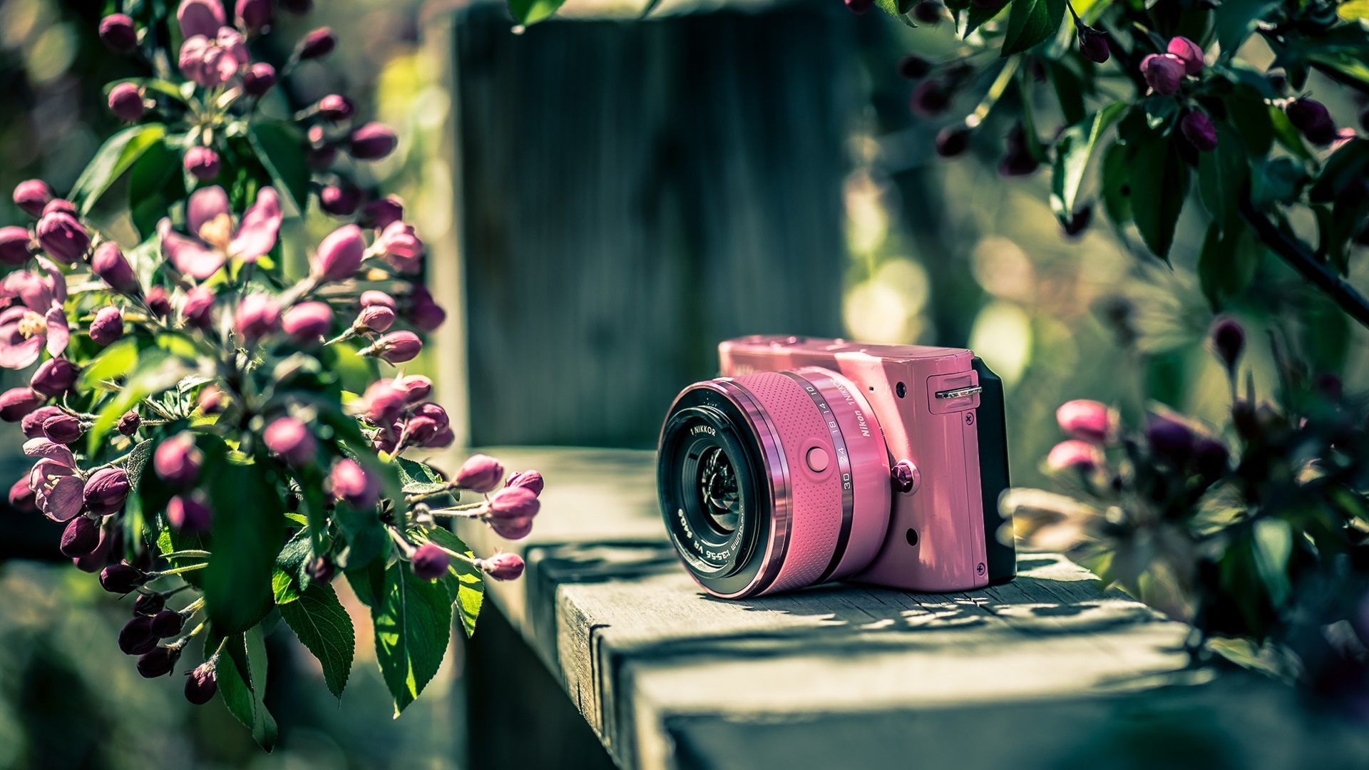 General 1920x1080 Nikon camera flowers plants nature photography garden technology pink