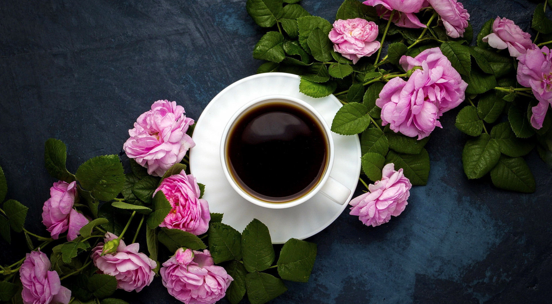 General 1919x1059 cup flowers plants coffee top view