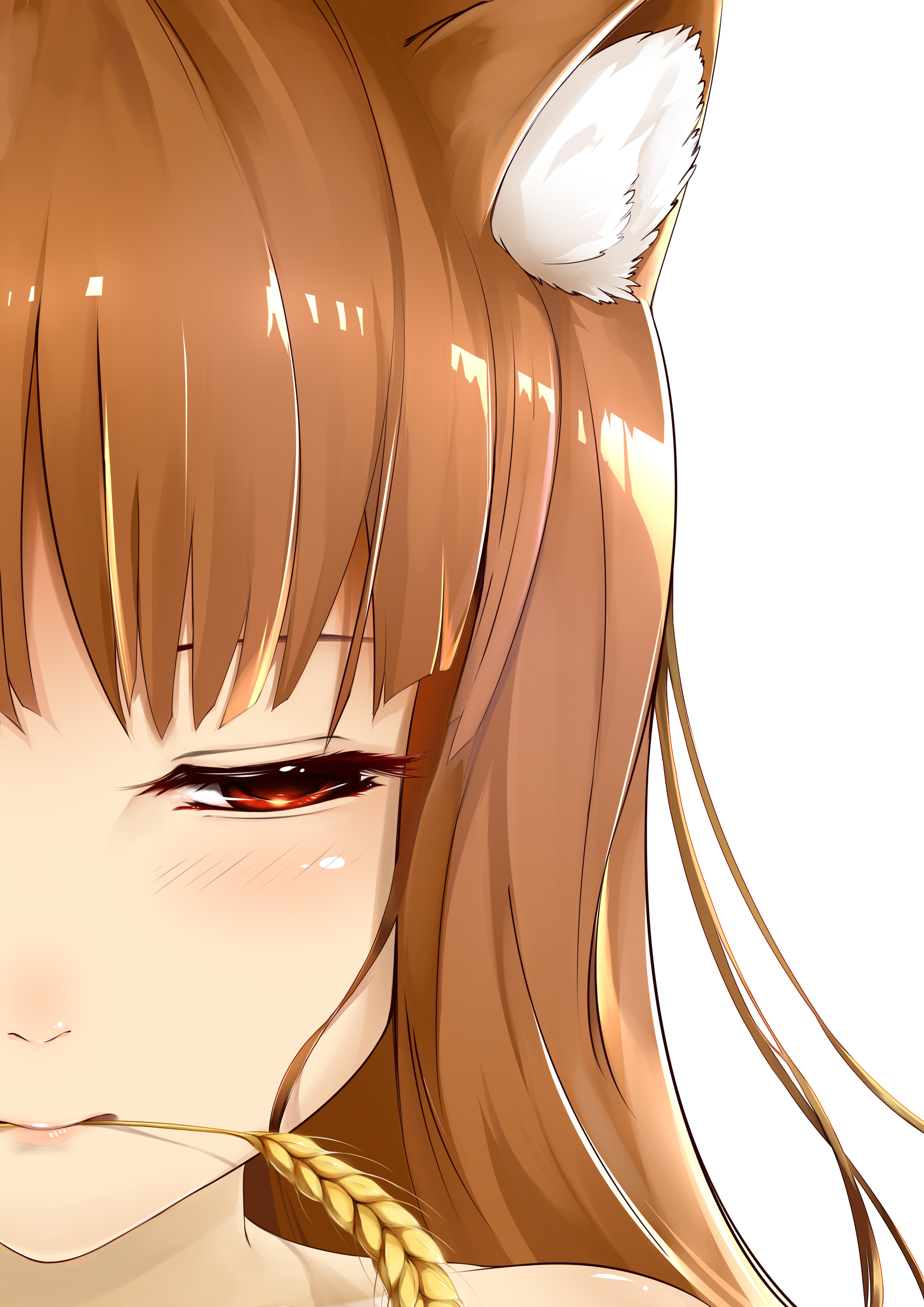 Anime 2480x3508 Holo (Spice and Wolf) red eyes simple background redhead Spice and Wolf looking away wolf ears wolf girls