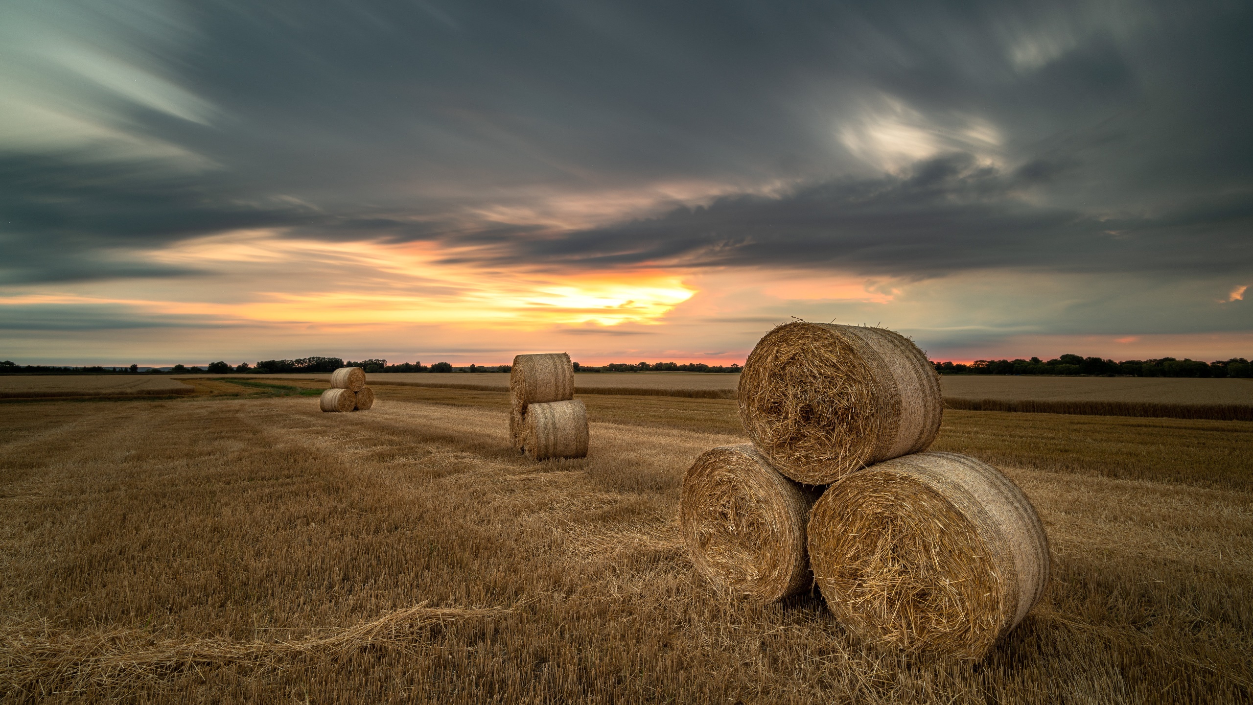General 2560x1440 field outdoors straw sky nature hay bales stubble field evening