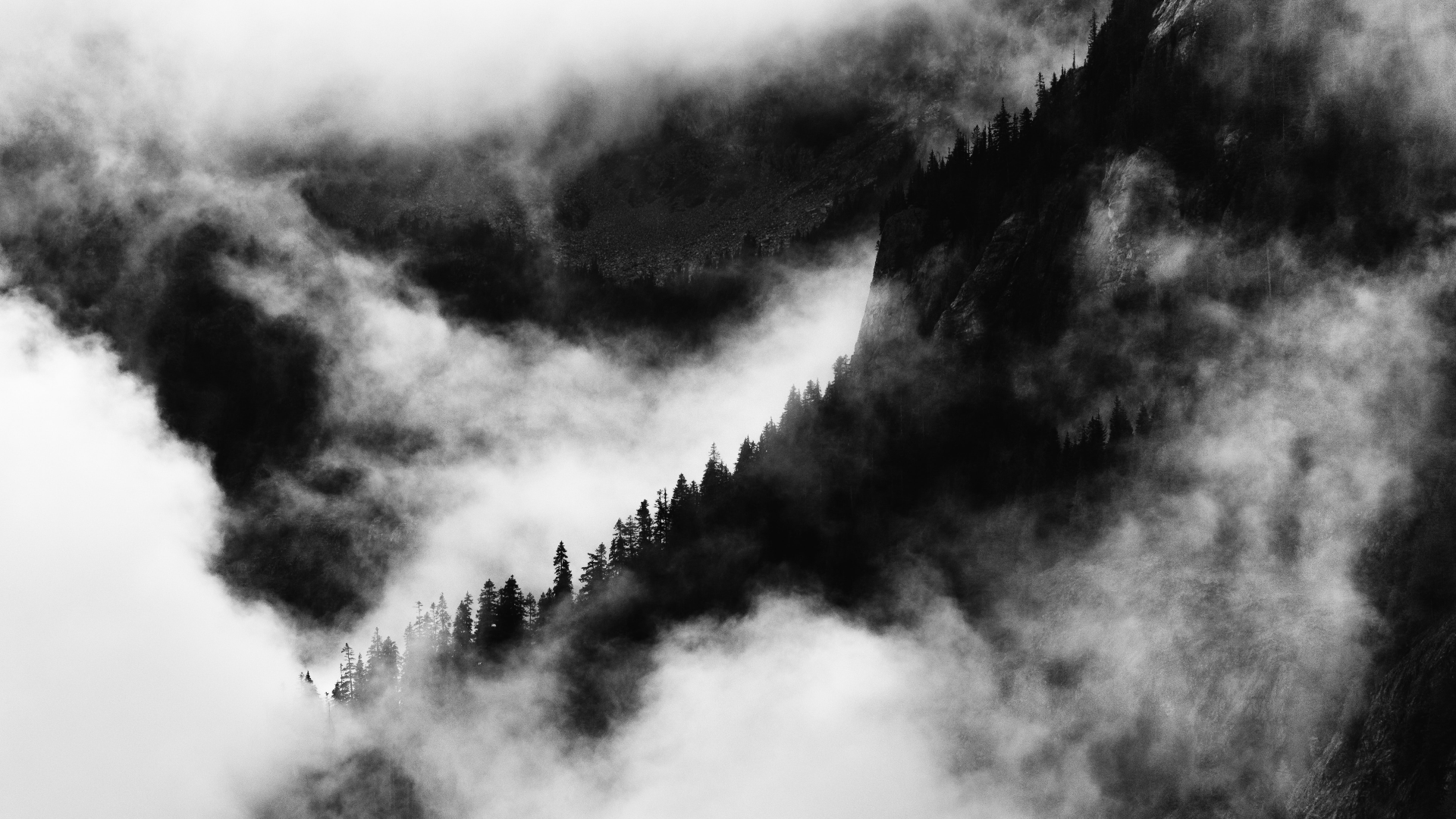 General 1920x1080 nature clouds mist trees mountains monochrome Washington USA