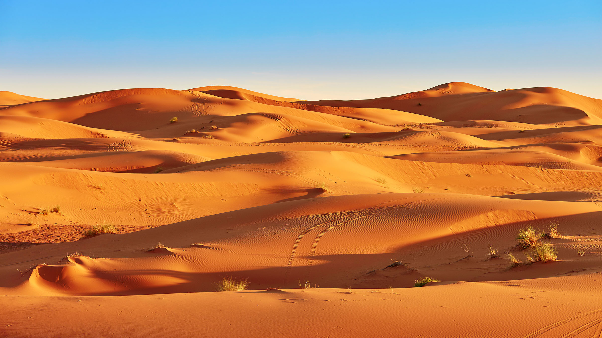 General 2400x1350 nature landscape desert sand Sahara clear sky Africa dunes plants tire tracks sunlight