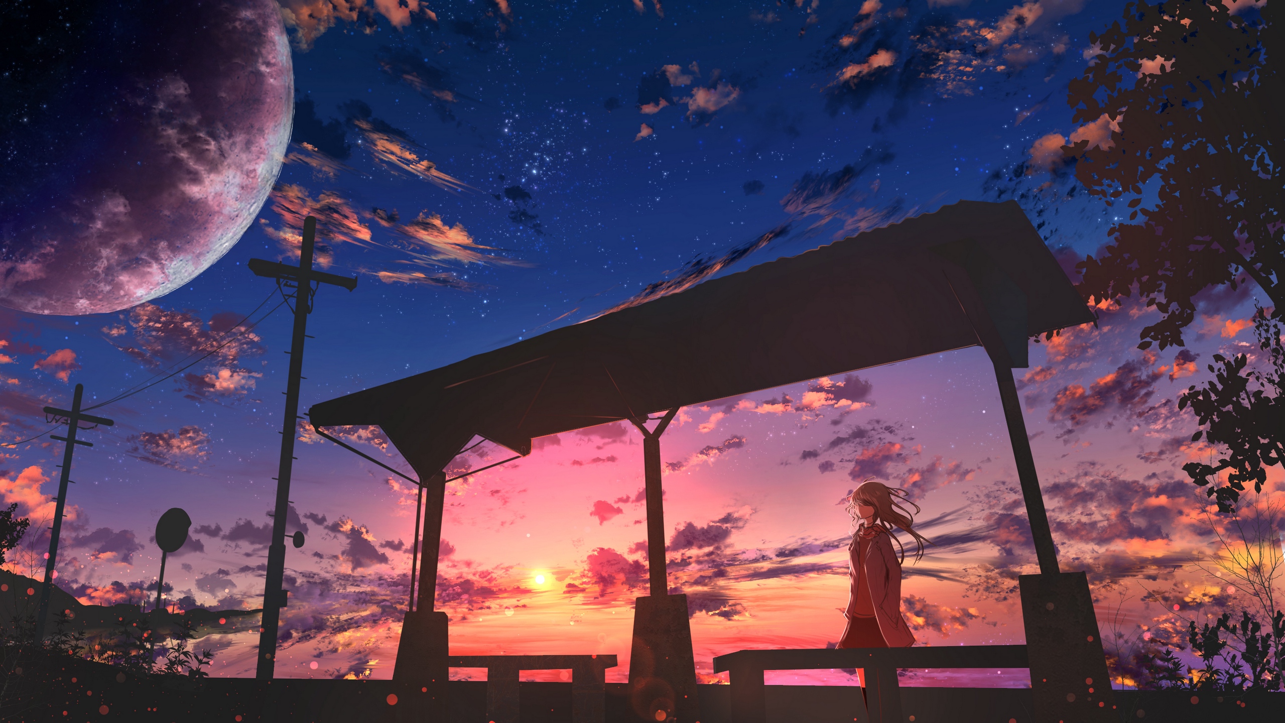 Anime 2560x1440 anime bus stop power lines bench sunset moescape low-angle