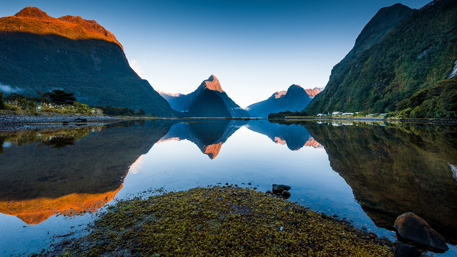 General 1920x1080 nature landscape mountains lake rocks water reflection clear sky sunlight house moss trees plants Fiordland National Park New Zealand Milford Sound
