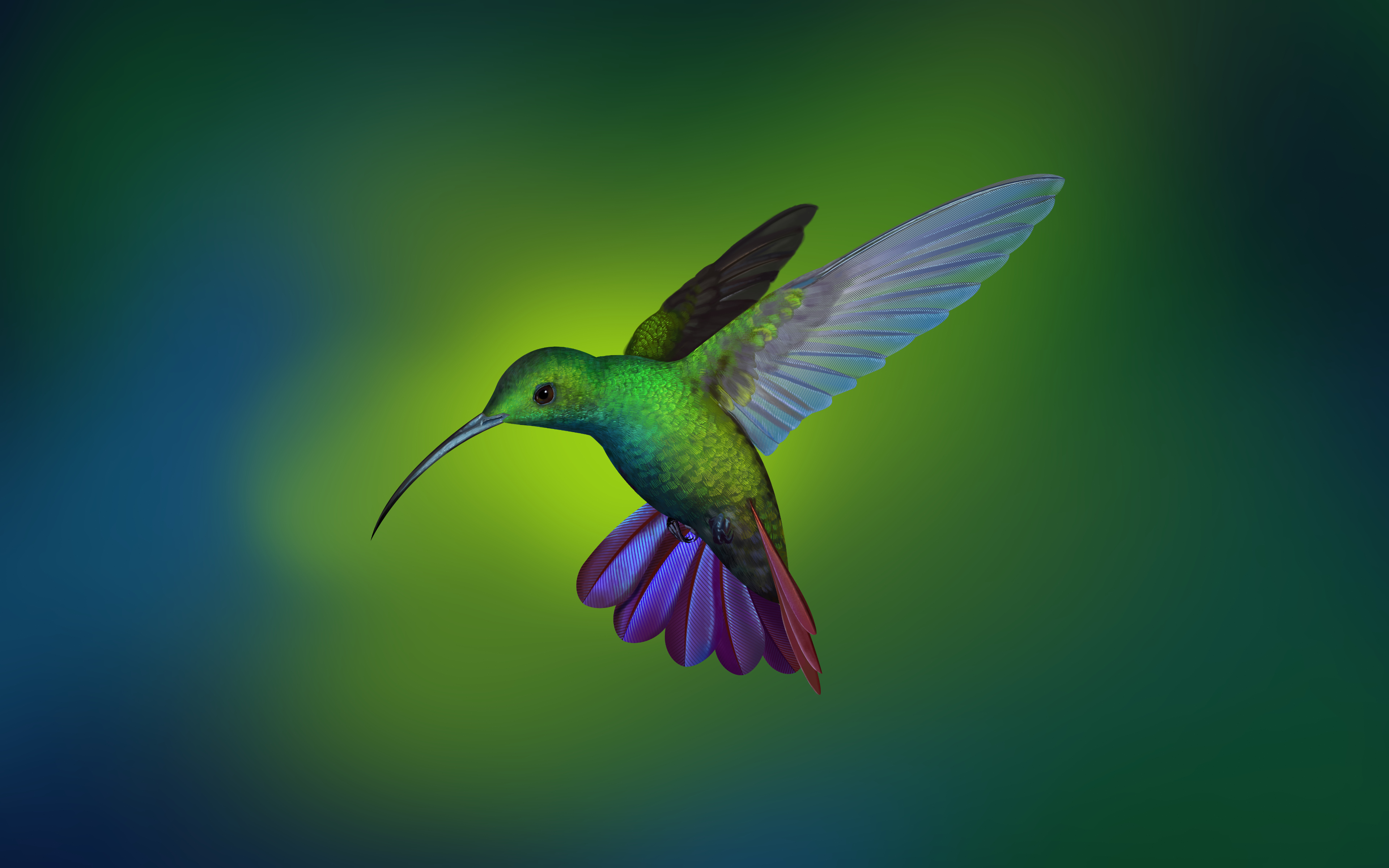 General 3840x2400 digital art hummingbirds animals birds