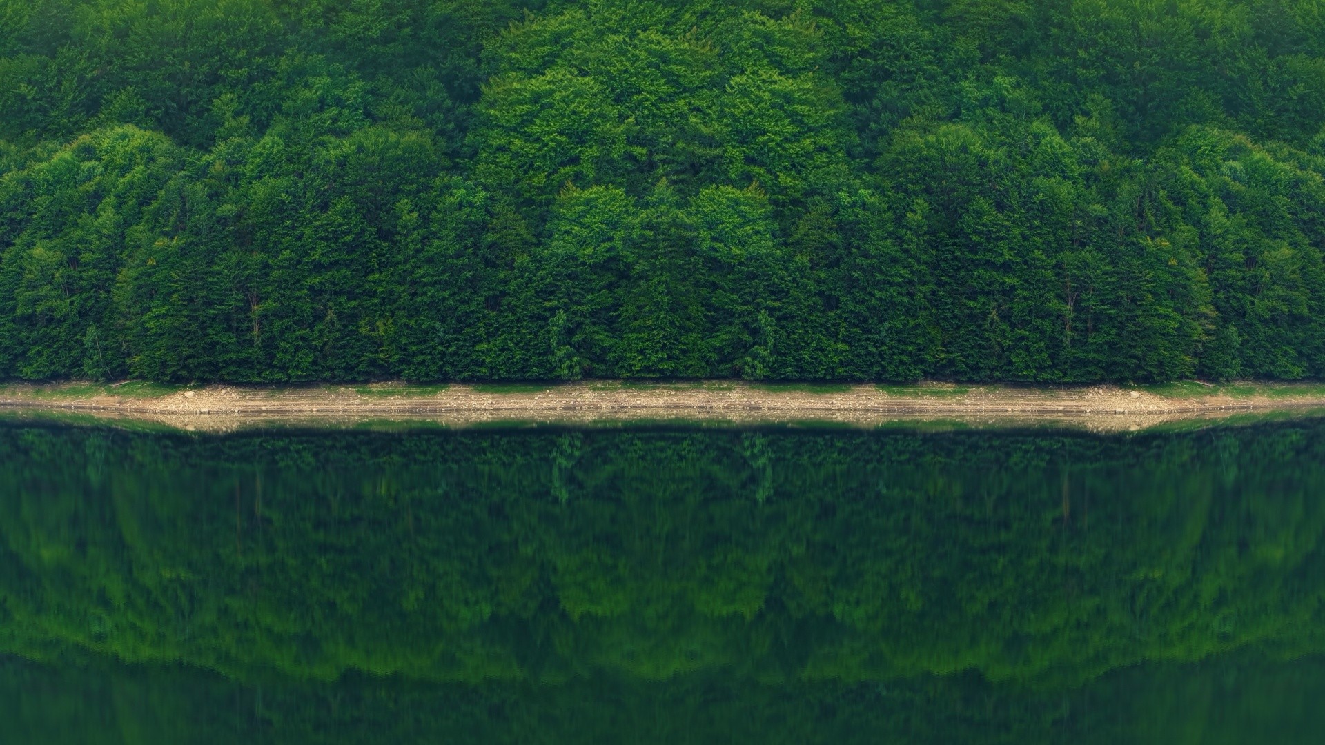 General 1920x1080 photography nature forest landscape trees river reflection Monsoon photoshopped