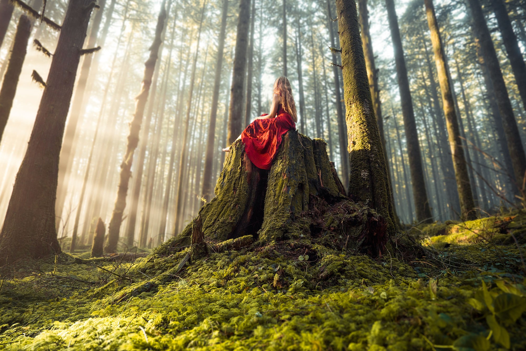 General 2000x1336 women trees forest women outdoors barefoot model blonde sitting wood dress red dress nature red clothing long hair
