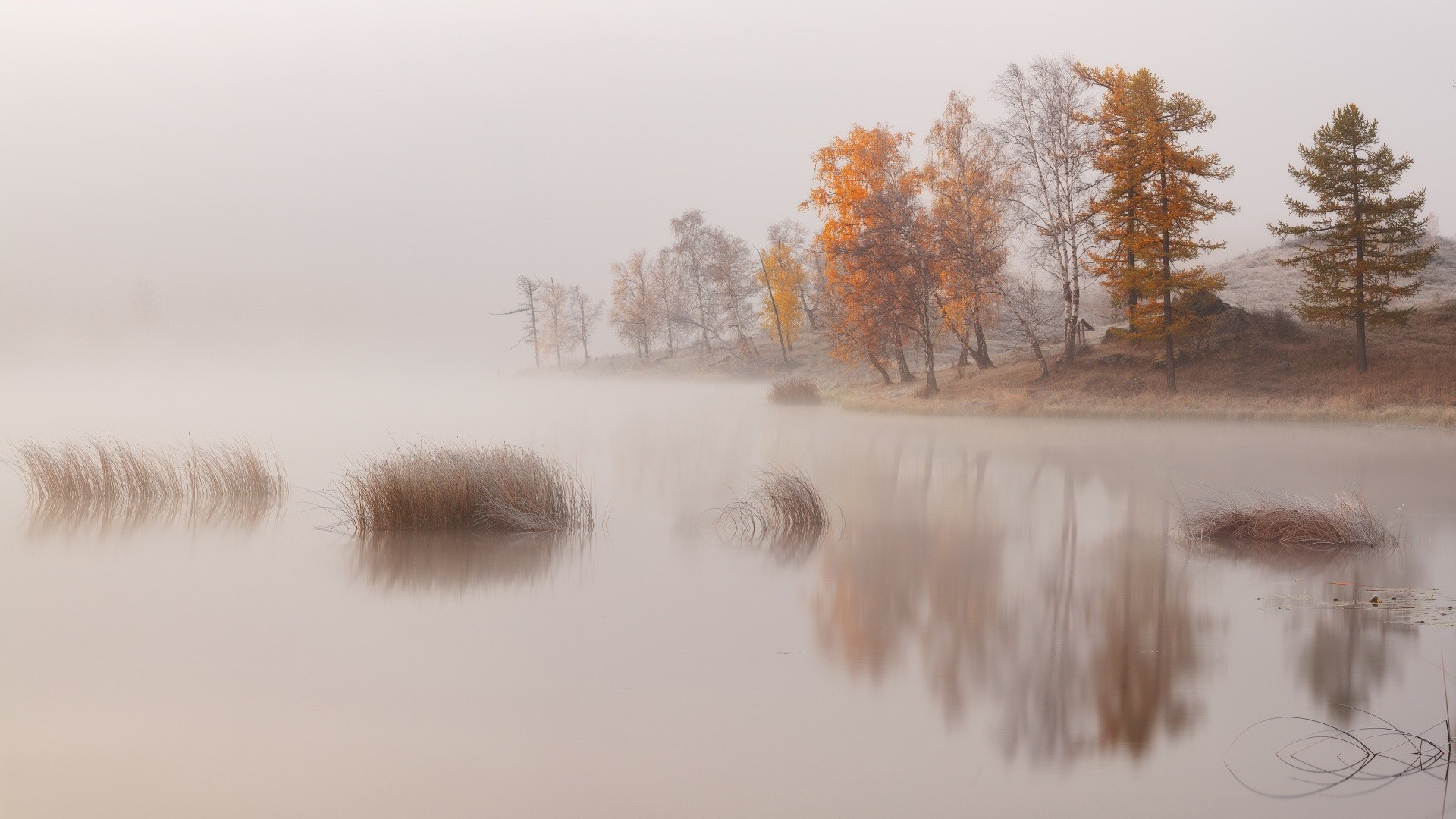 General 1920x1080 nature landscape trees water lake mist morning fall reflection hills calm