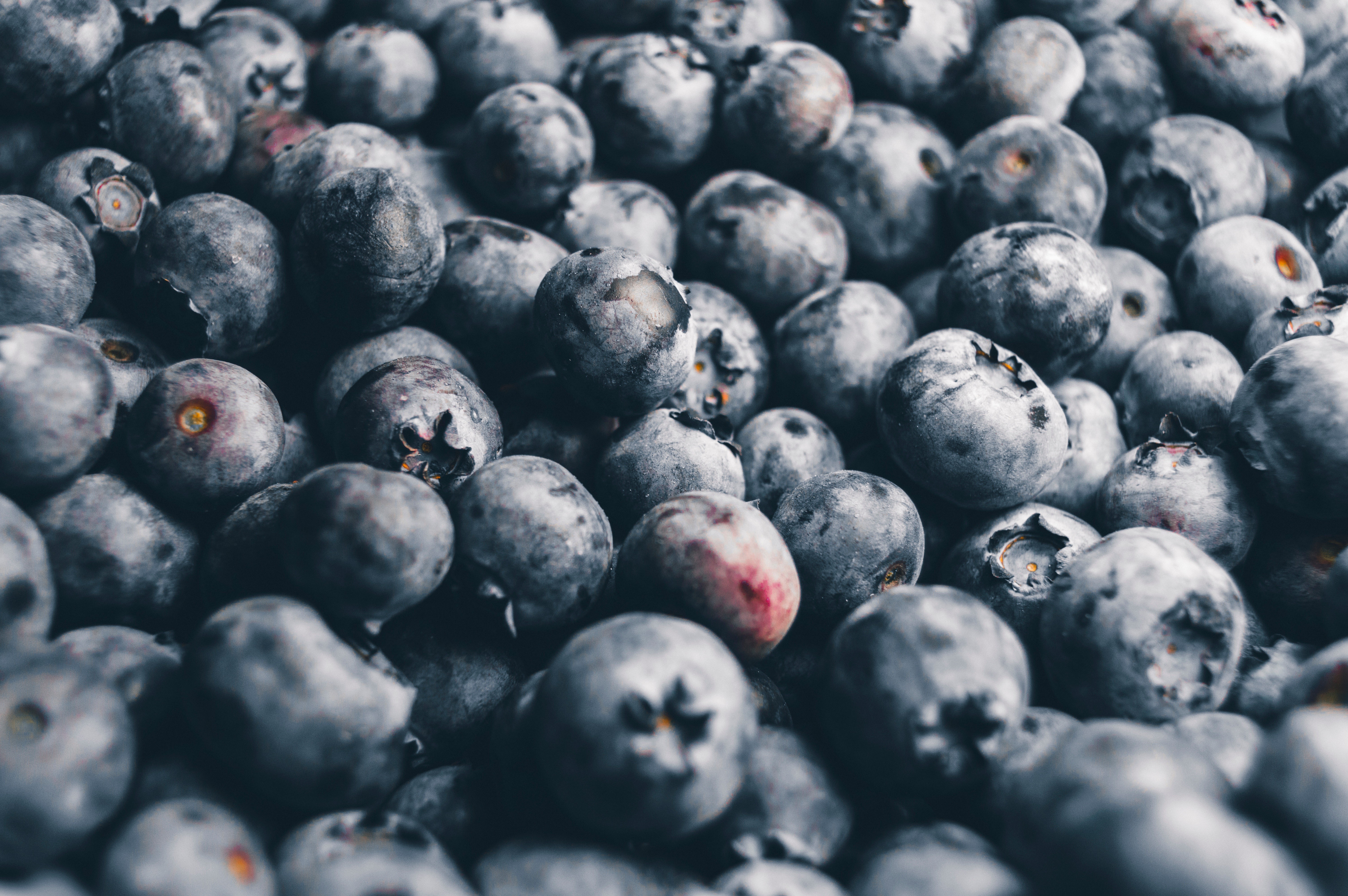 General 6016x4000 fruit blueberries food berries