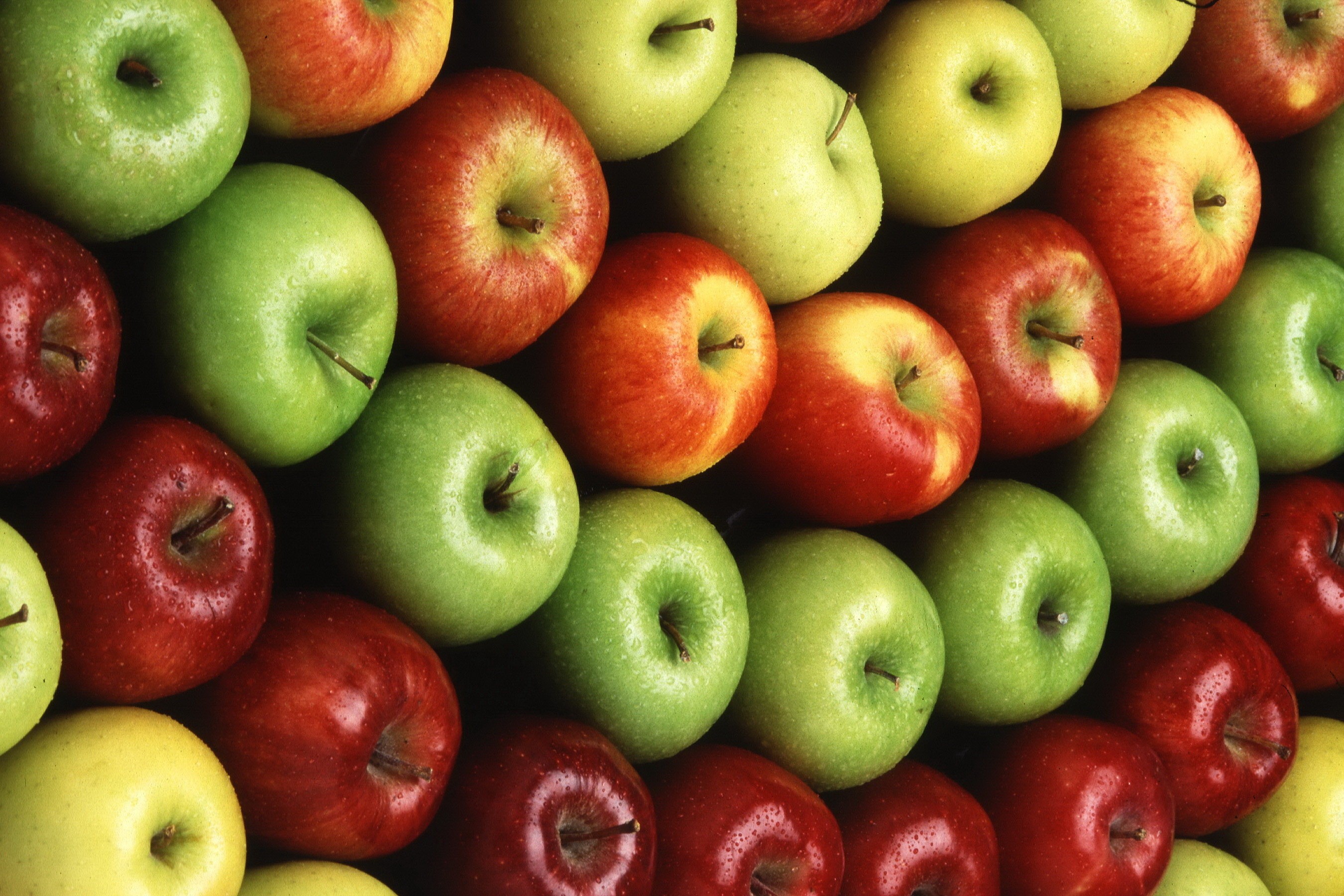 General 2700x1800 apples colorful fruit symmetry