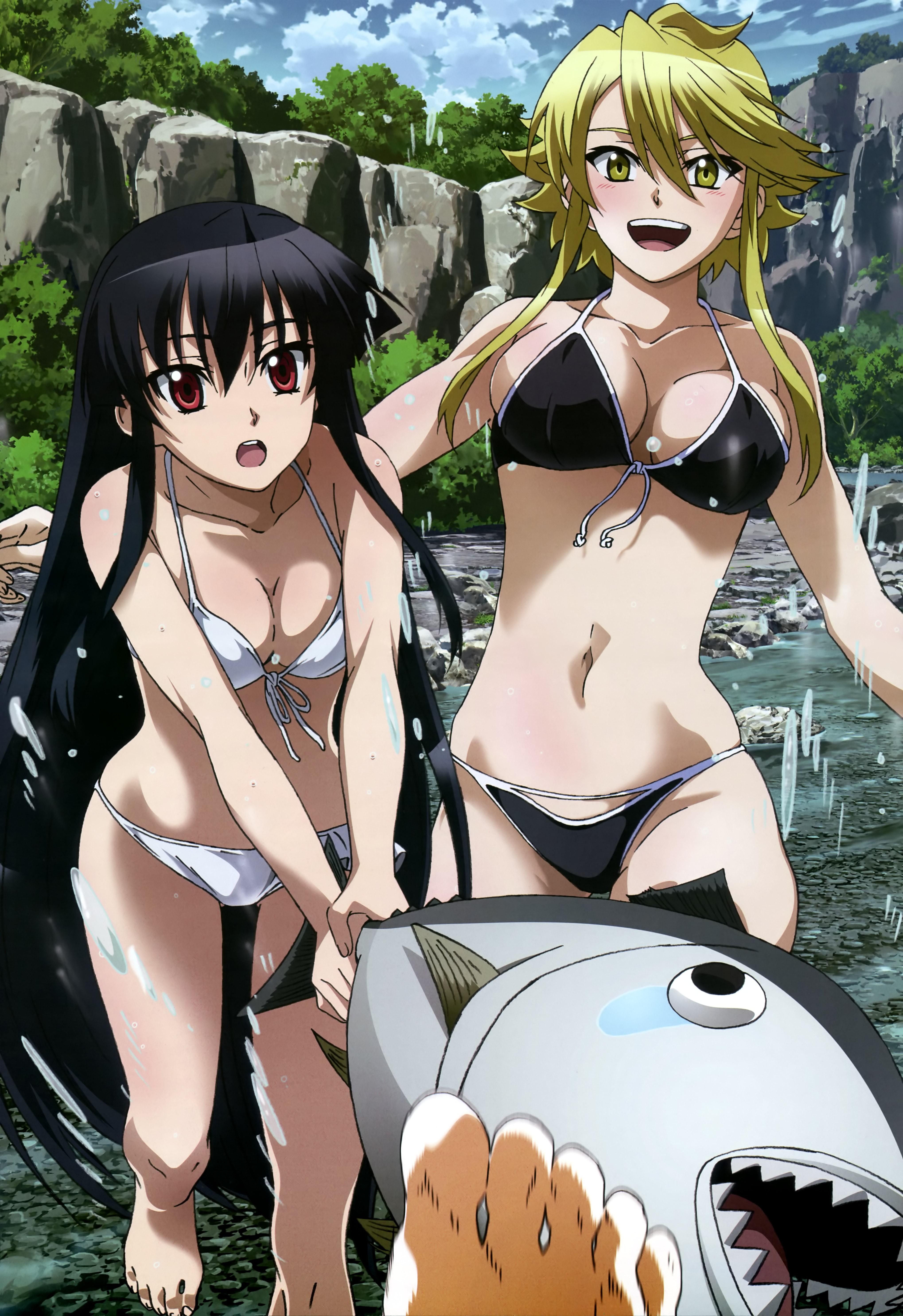 Anime 4076x5939 Akame ga Kill! anime girls big boobs cleavage anime cameltoe Leone (Akame ga Kill!) Skindentation Akame Takumi Leone